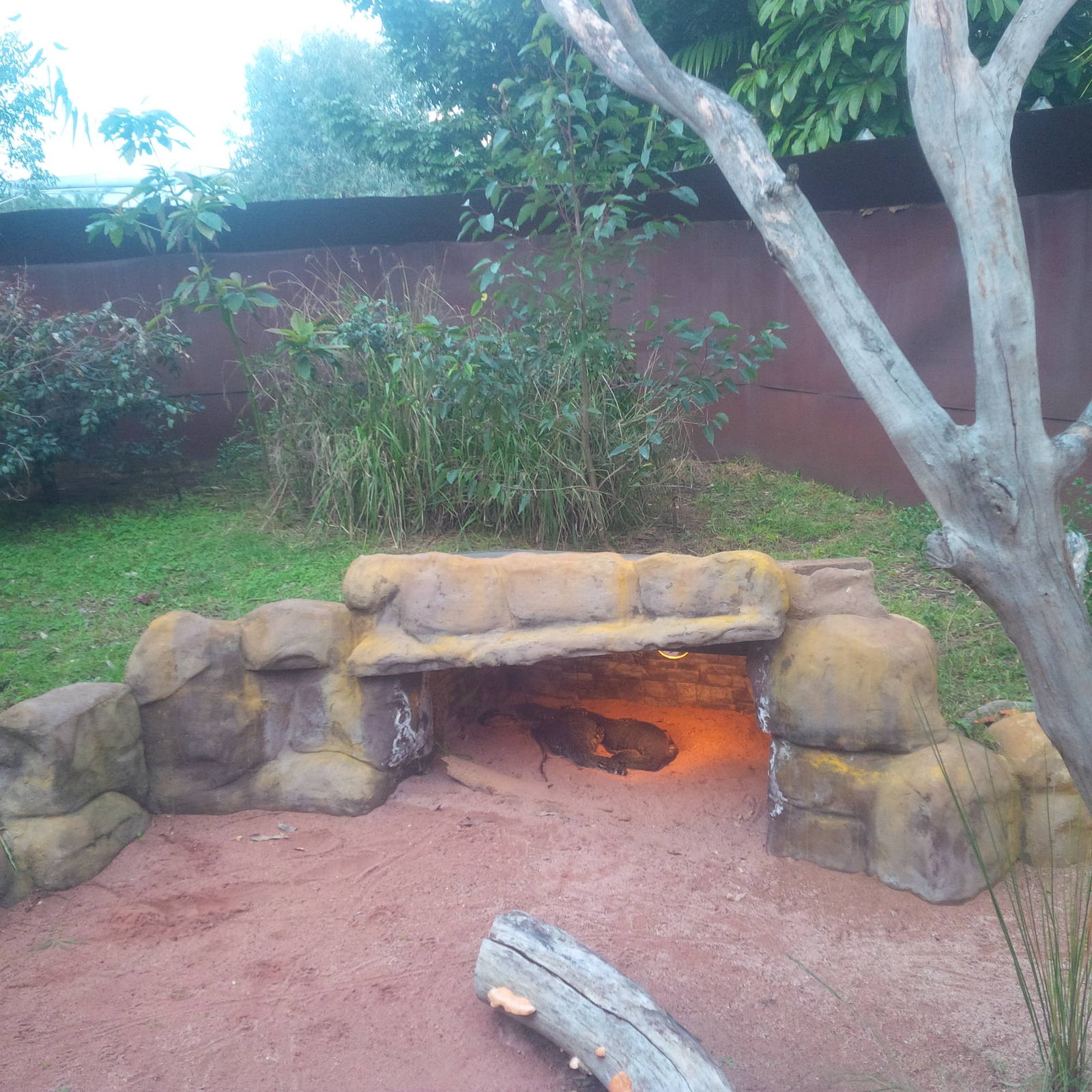 Caversham Wildlife Park WA