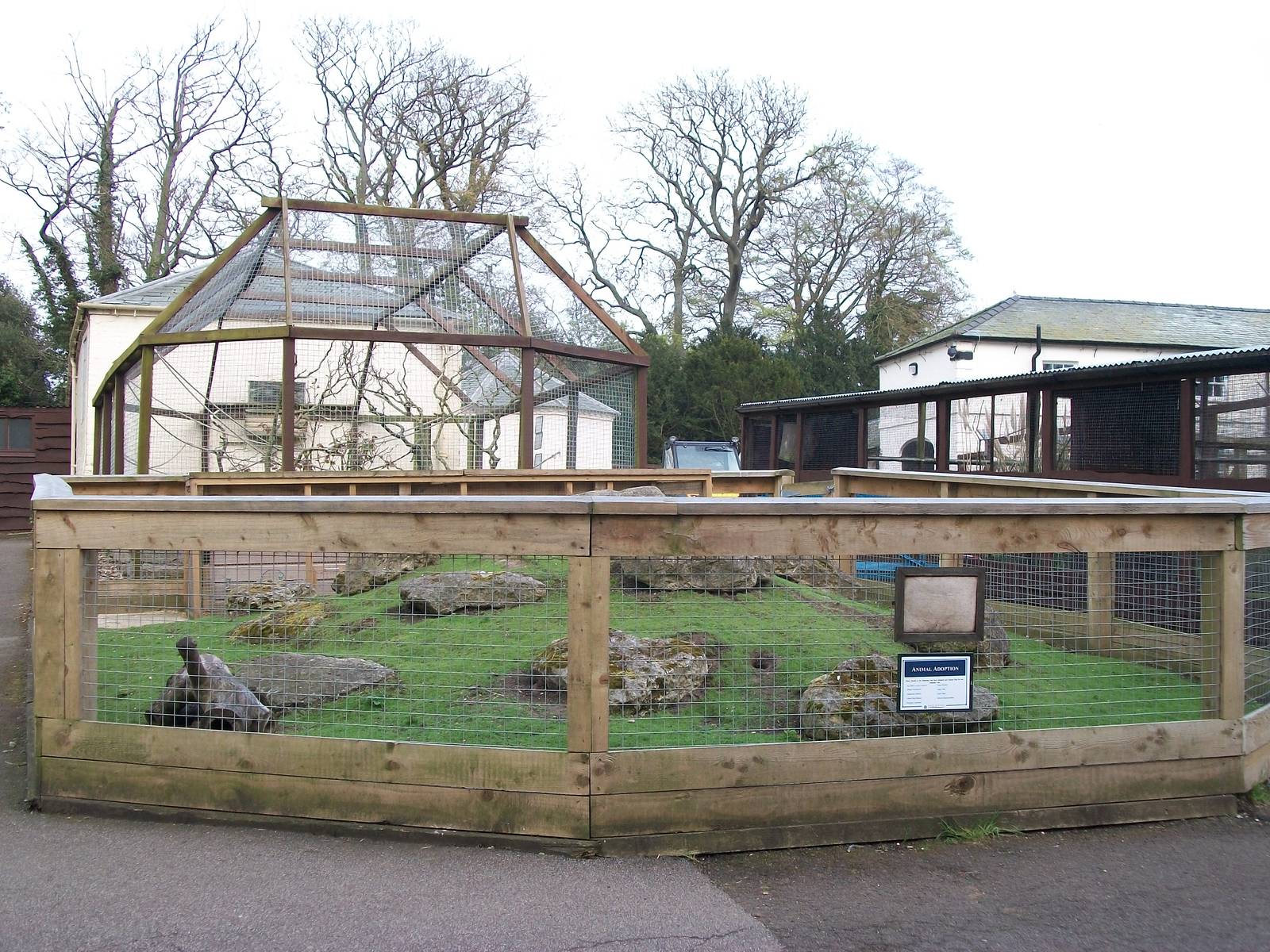 Cavy Country, 4th May 2014