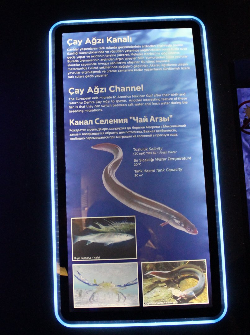 Cay Agzi Channel-aquarium sign