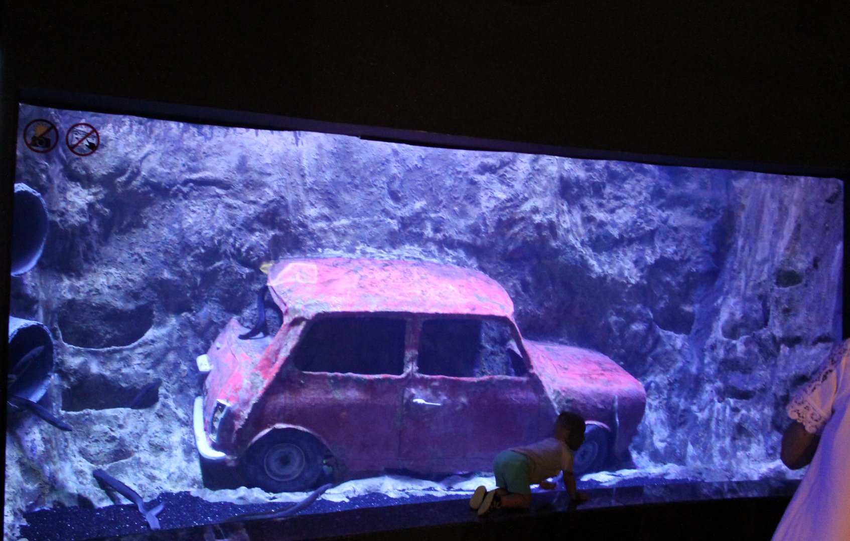 Cay Agzi Channel-aquarium