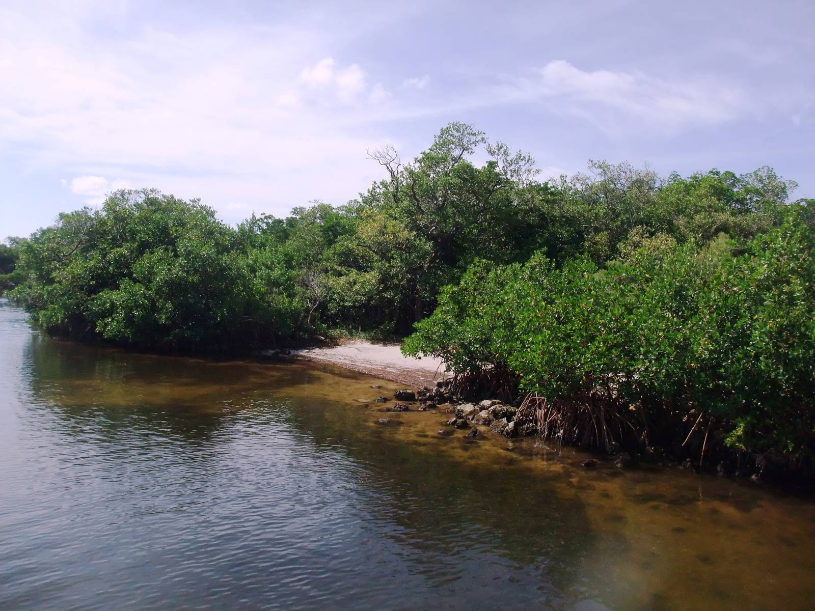 Cayo Costa, October 2013