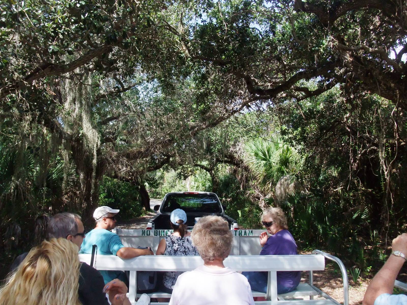 Cayo Costa, October 2013