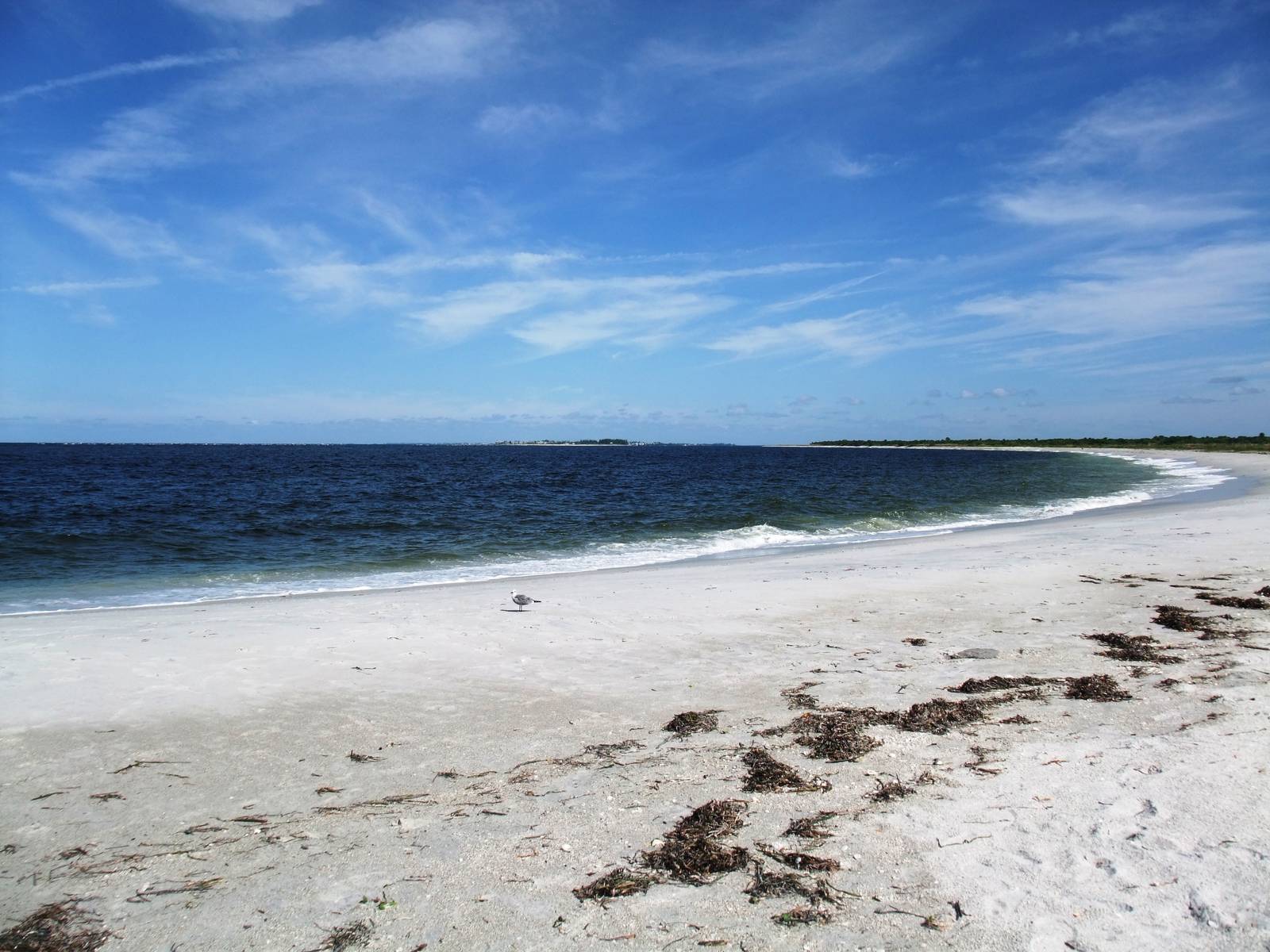 Cayo Costa, October 2013