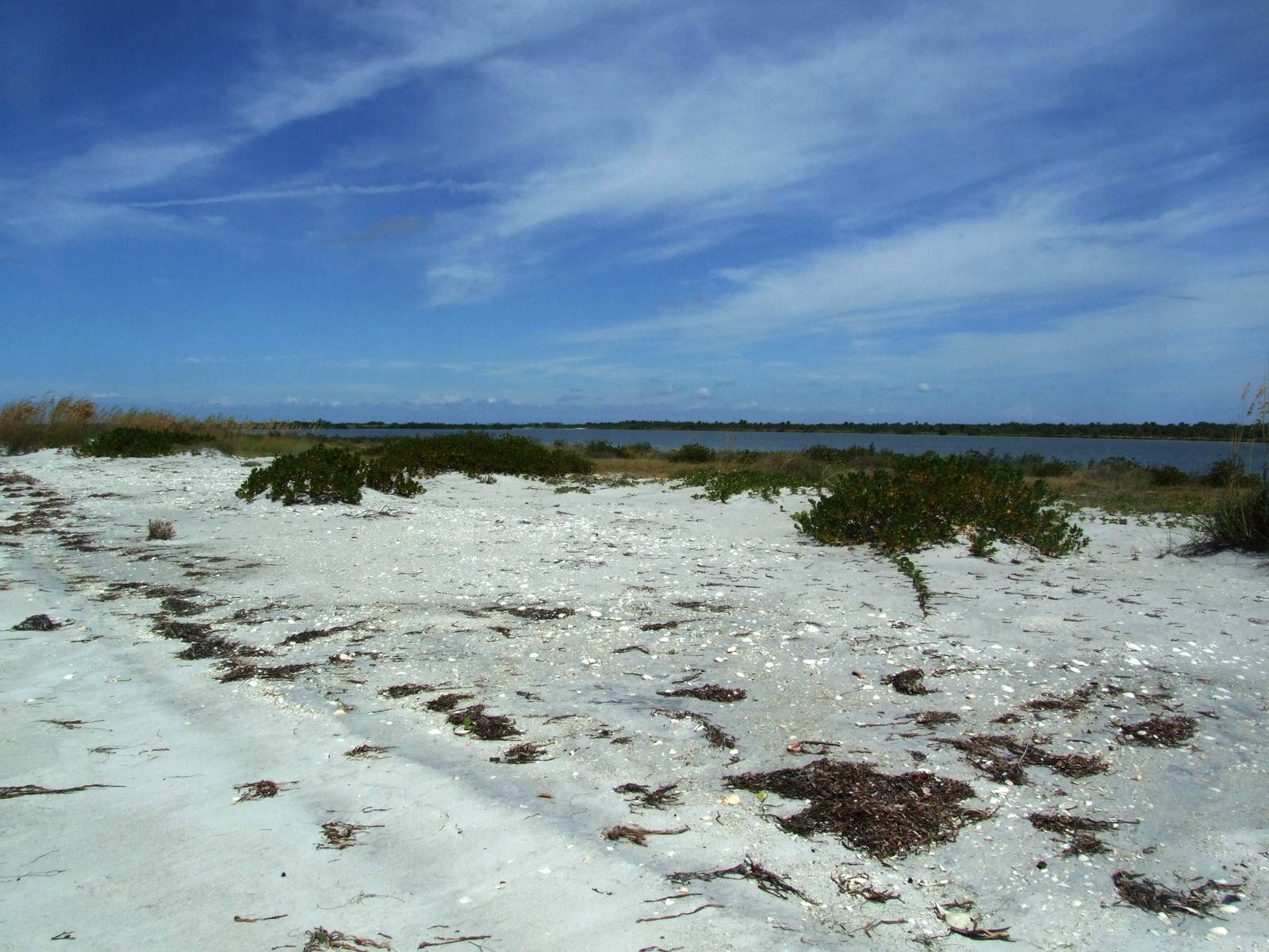 Cayo Costa, October 2013