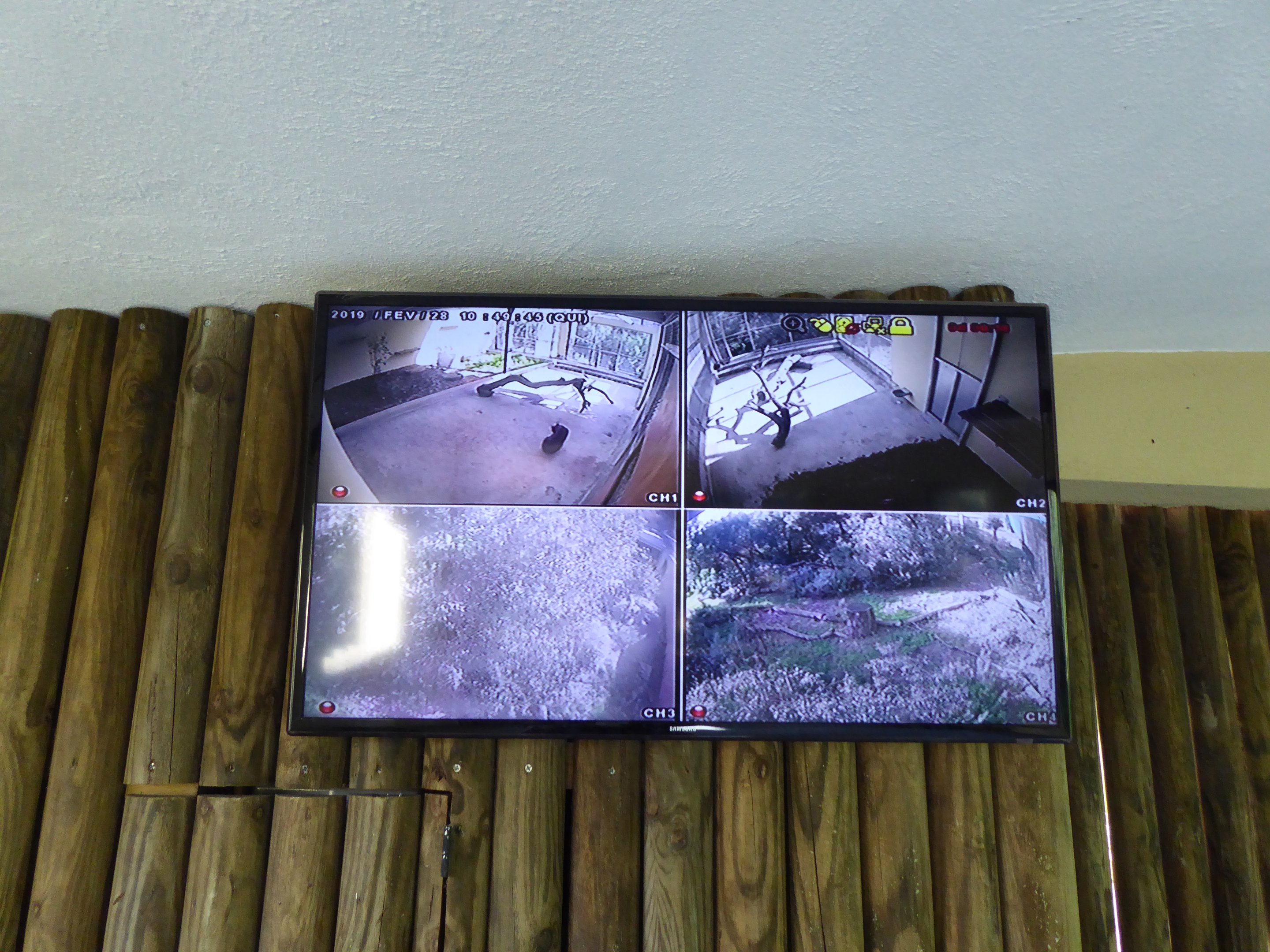 CCTV video feed into offshow dens and upper reaches of enclosure for  Iberian Lynx (Lynx pardinus) within the "Tapada do Lince-ibérico" complex
