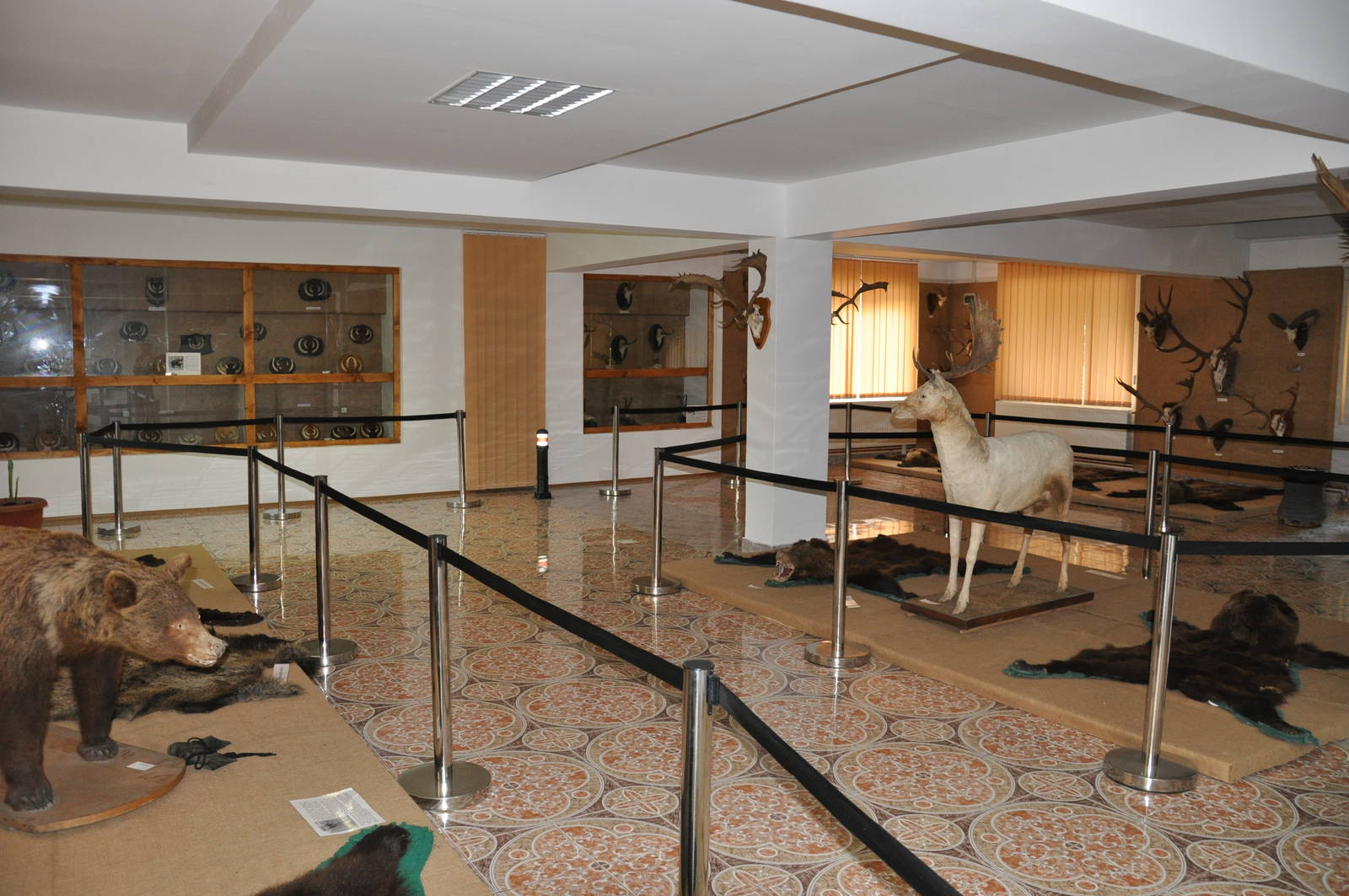 Ceausescu trophies Museum