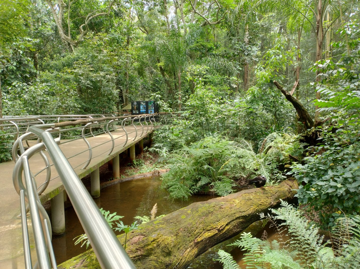 Cecropia aviaries - Parque das Aves