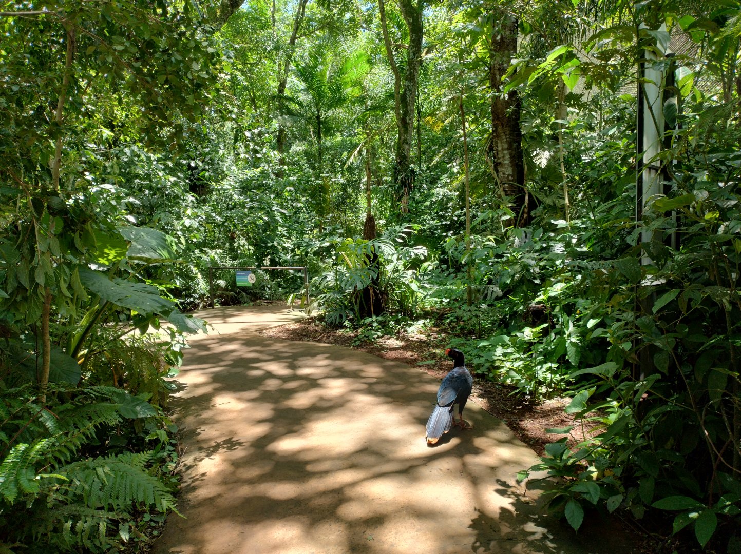 Cecropia aviaries - Parque das Aves