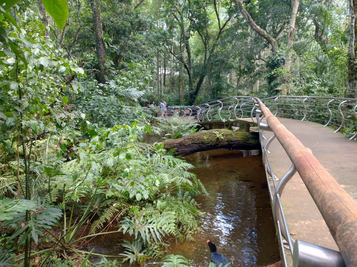 Cecropia aviaries - Parque das Aves