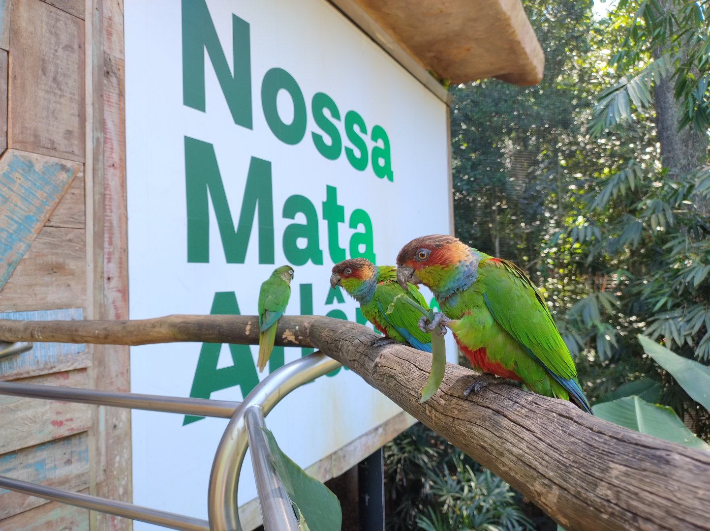 Cecropia aviaries - Parque das Aves