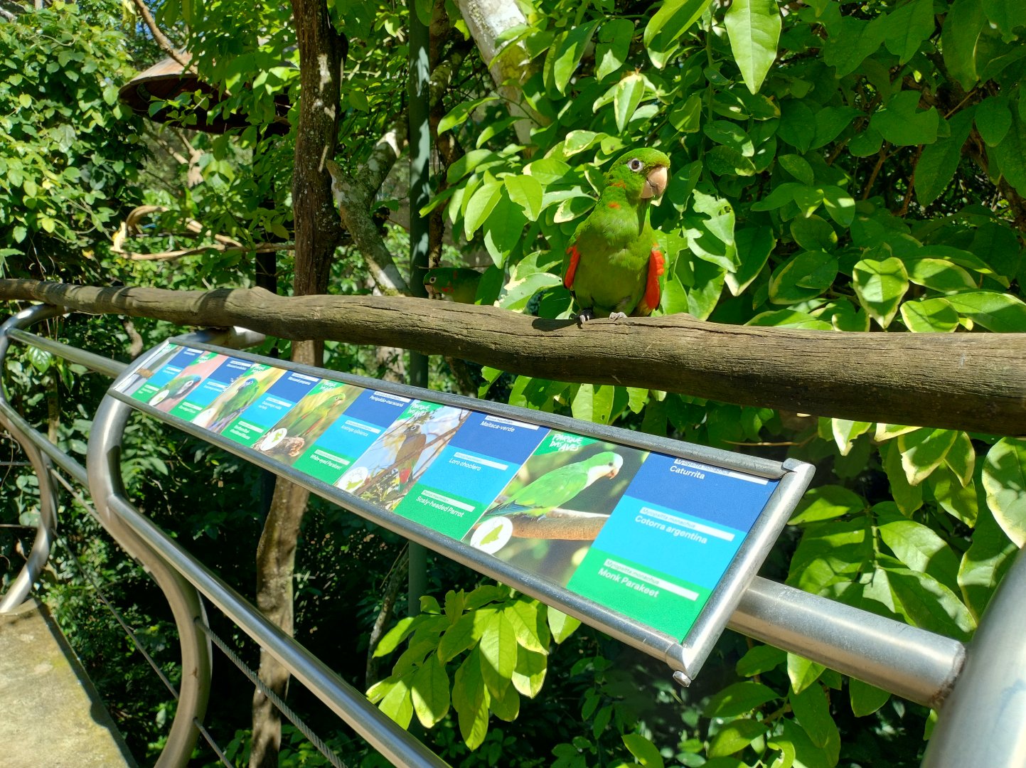 Cecropia aviaries - Parque das Aves