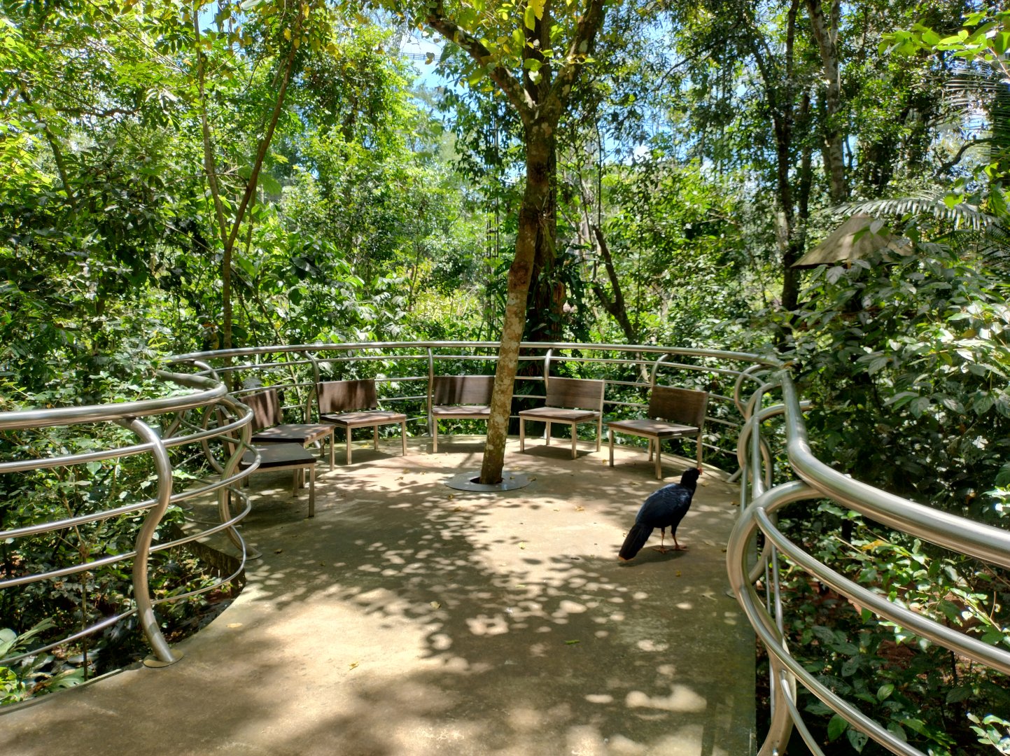 Cecropia aviaries - Parque das Aves