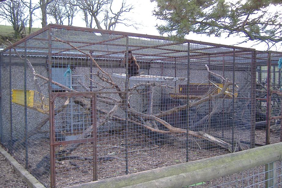 Cefn Yr Erw capuchin cages