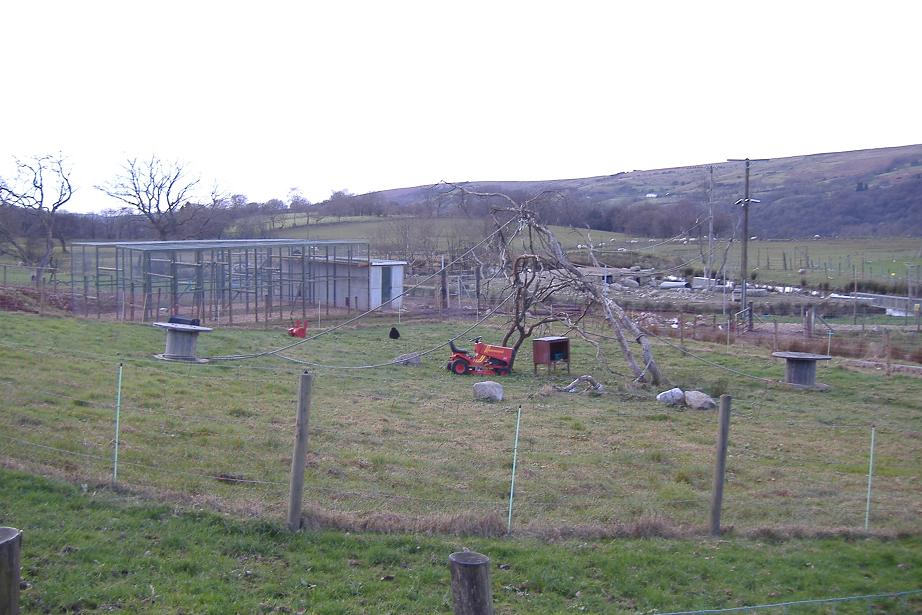 Cefn Yr Erw gibbon enclosure