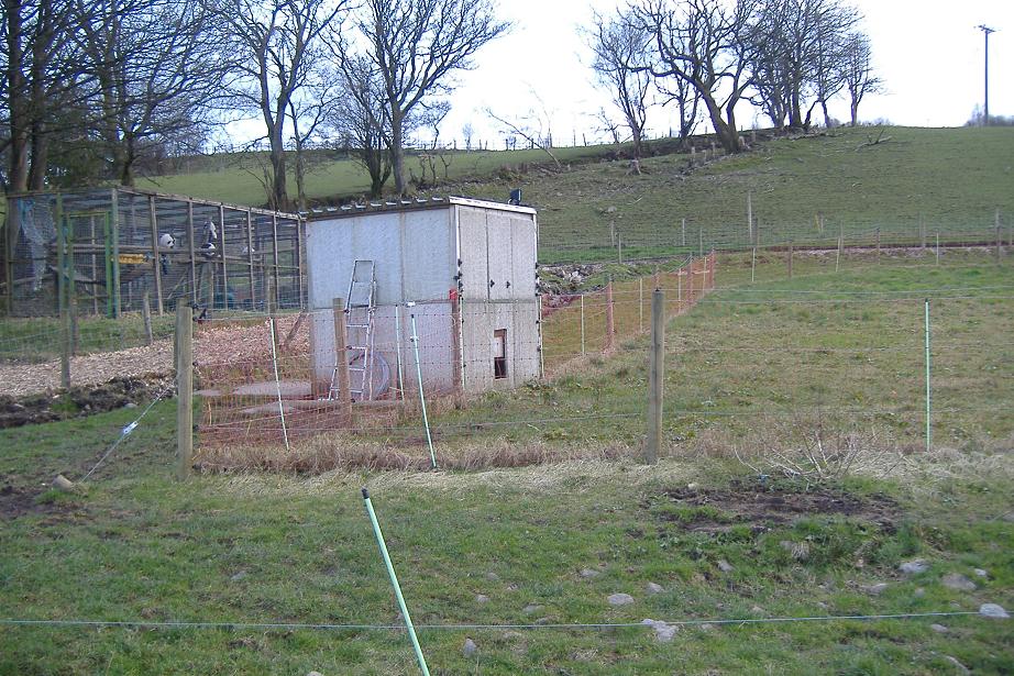 Cefn Yr Erw gibbon house