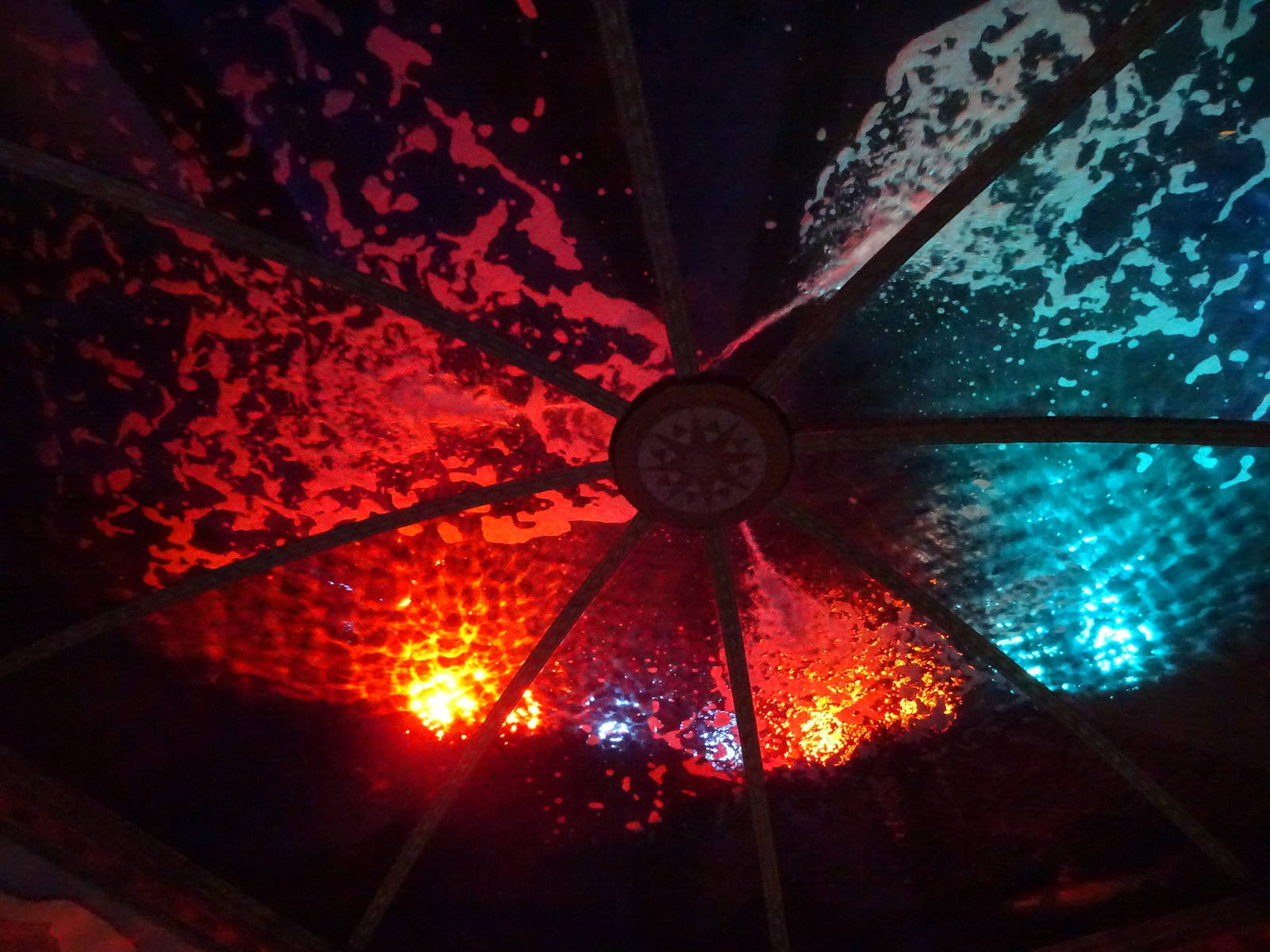 Ceiling Aquarium at SeaWorld Orlando