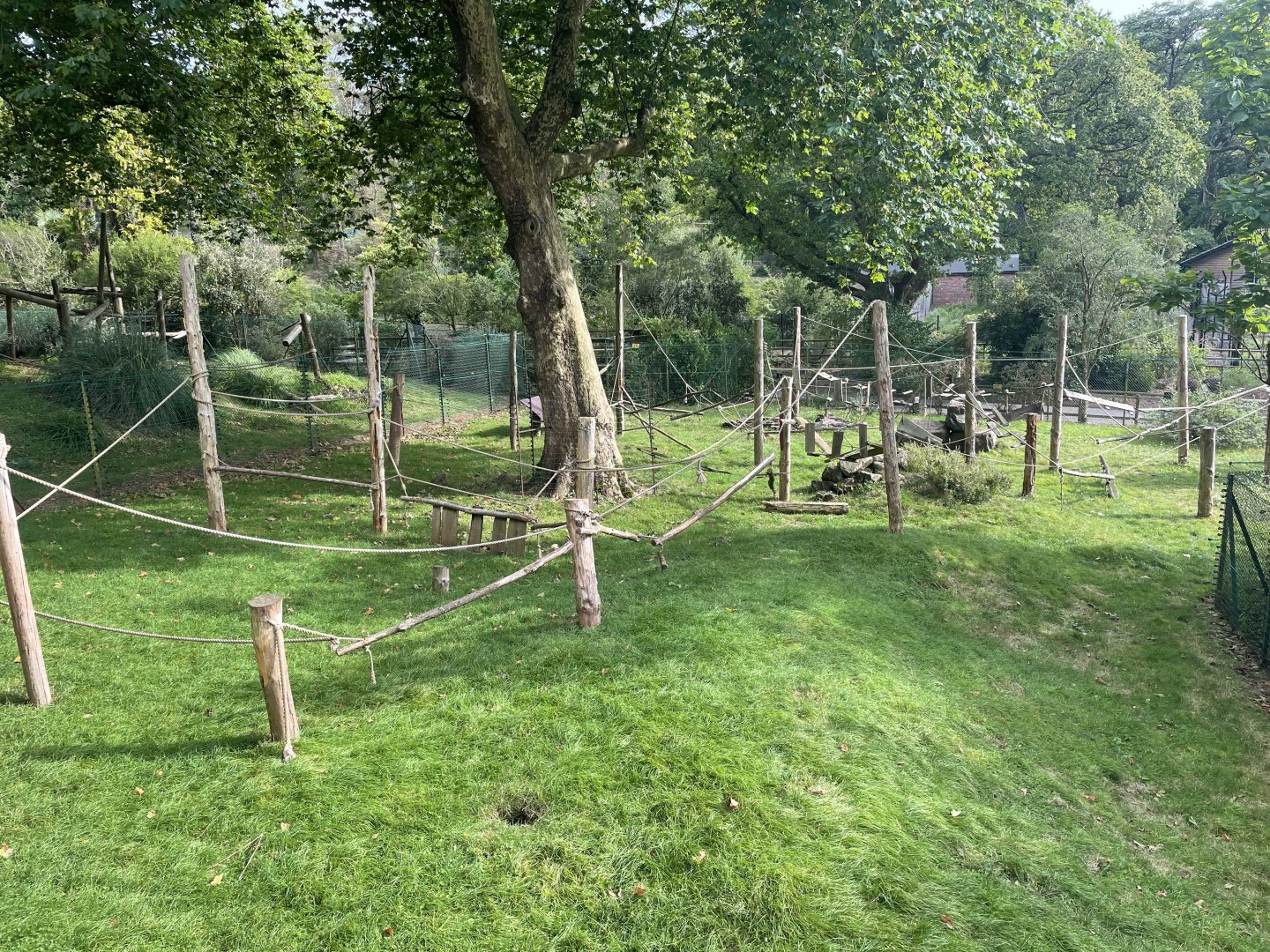 Celebes crested macaque Enclosure