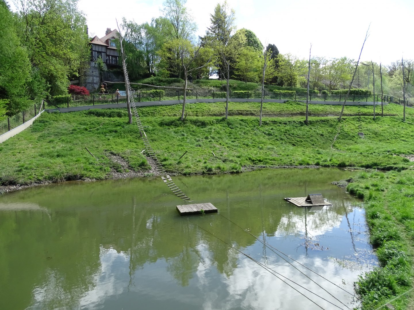 Celebes crested macaque (Macaca nigra) and Small-clawed otter (Aonyx cinereus) exhibit