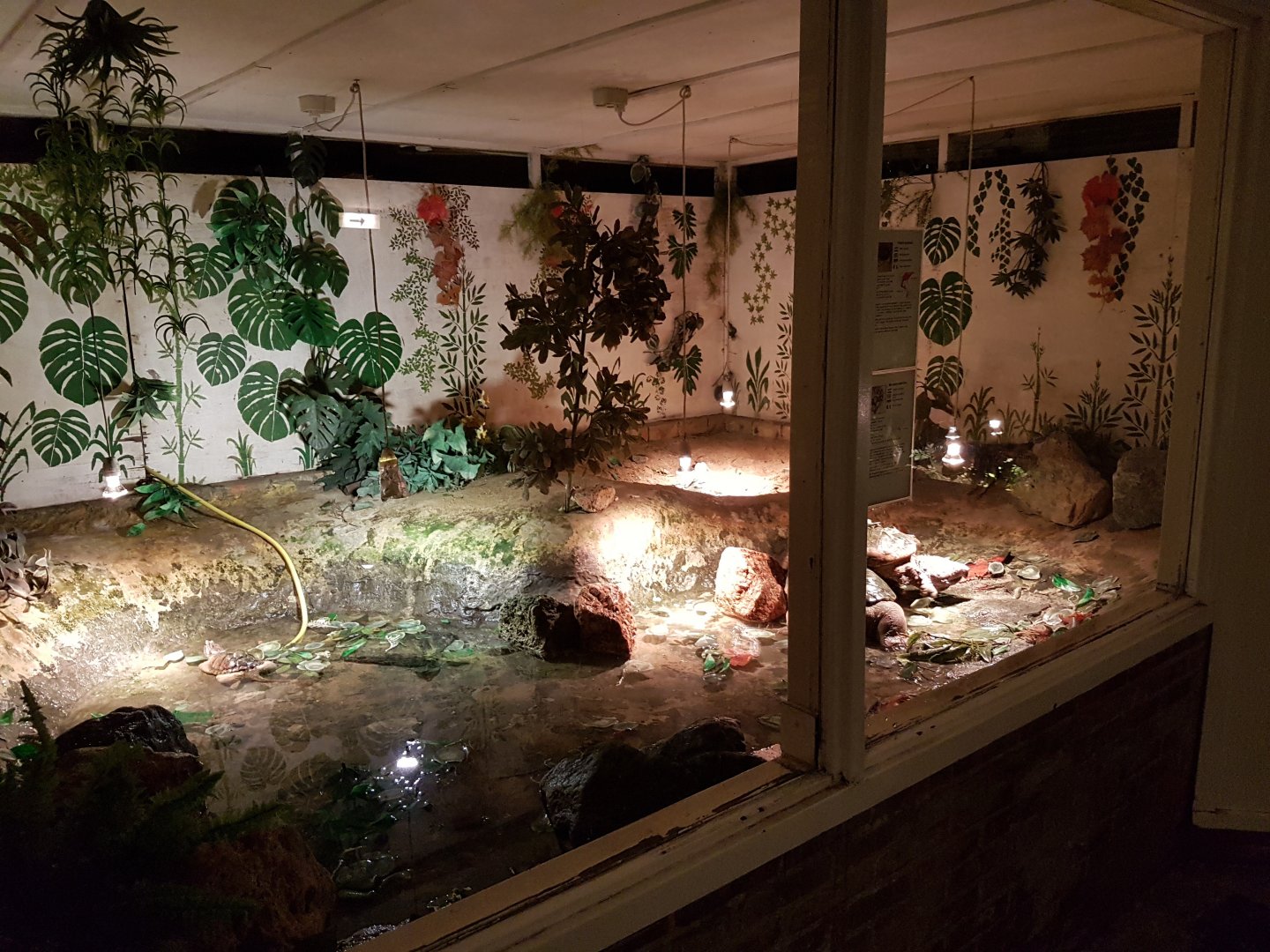 Cellar - Snapping and Alligator snapping turtle-enclosure