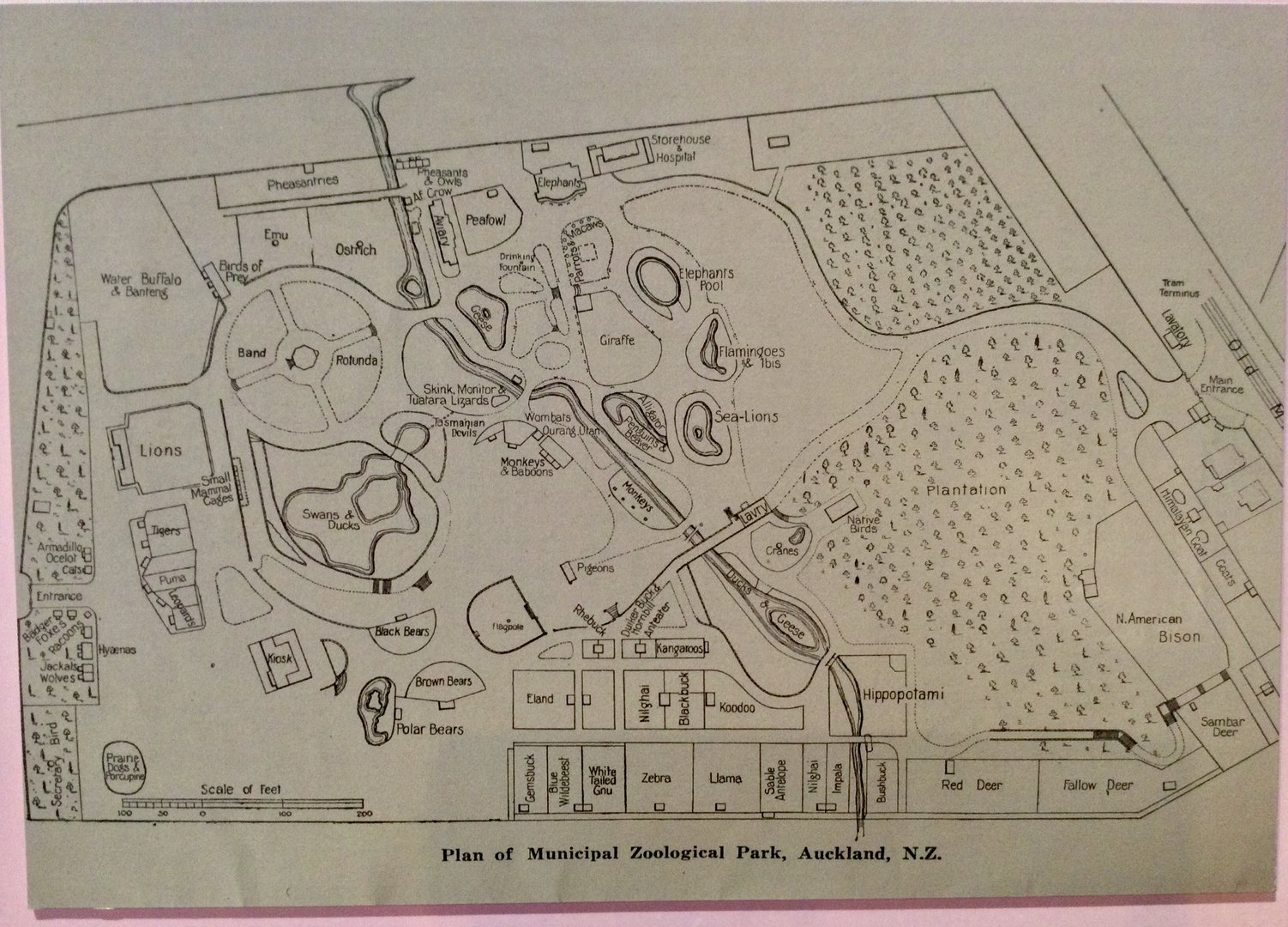 Centenary Exhibition - 1926 Map