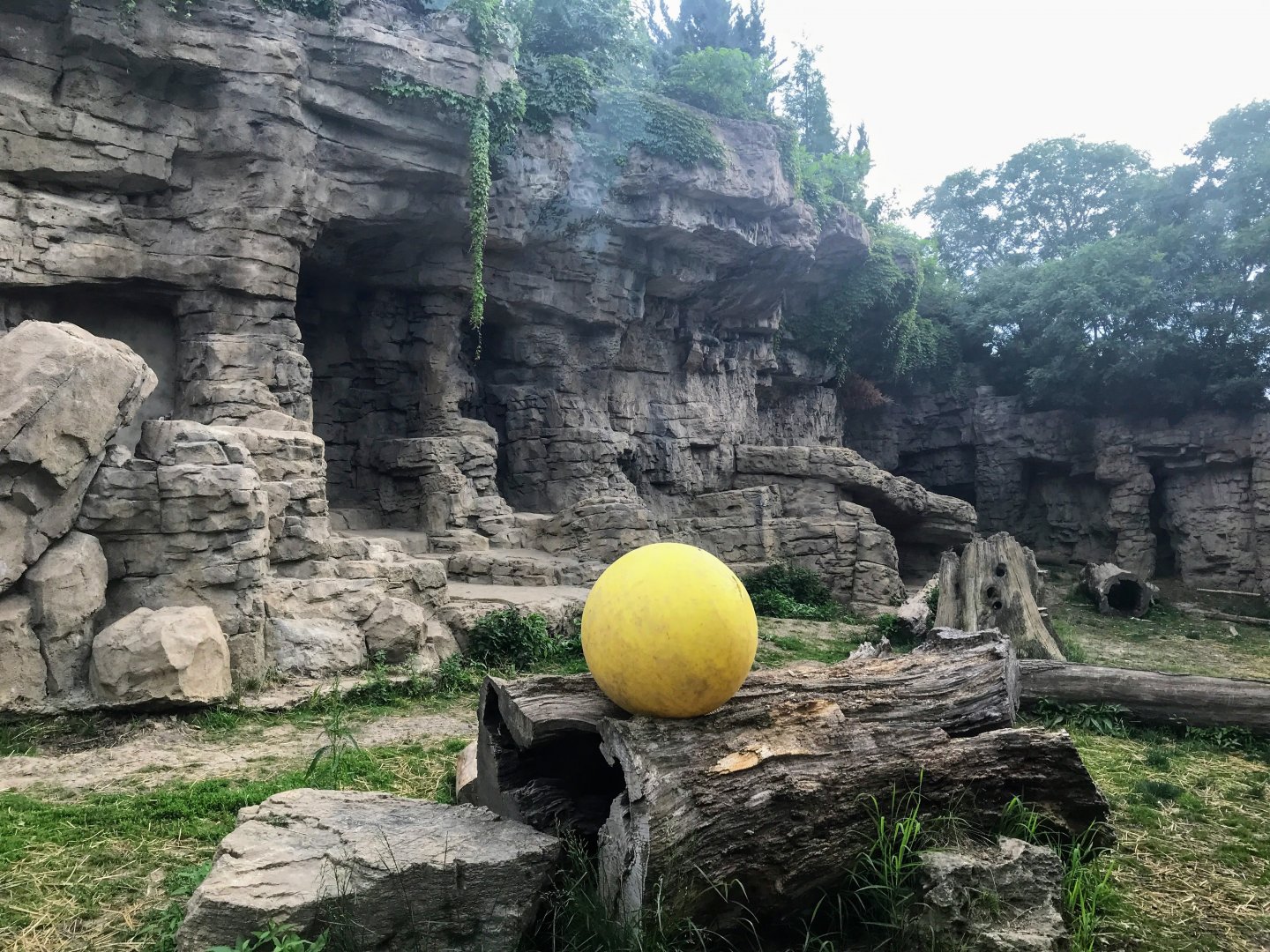 Centene Grizzly Ridge