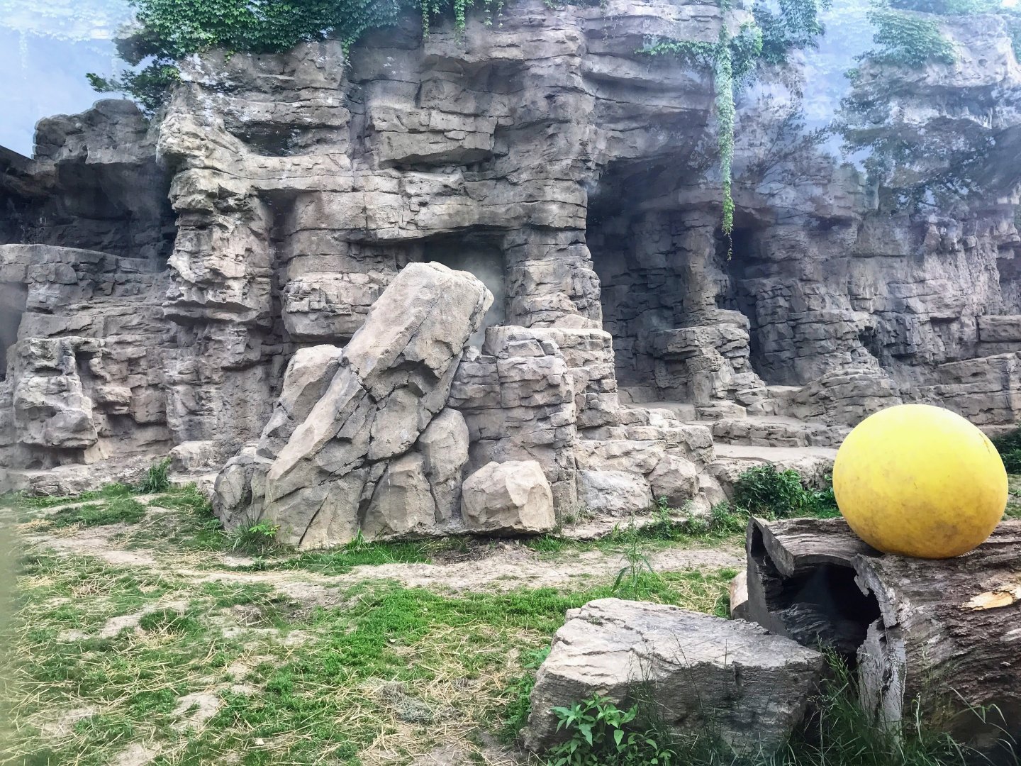 Centene Grizzly Ridge