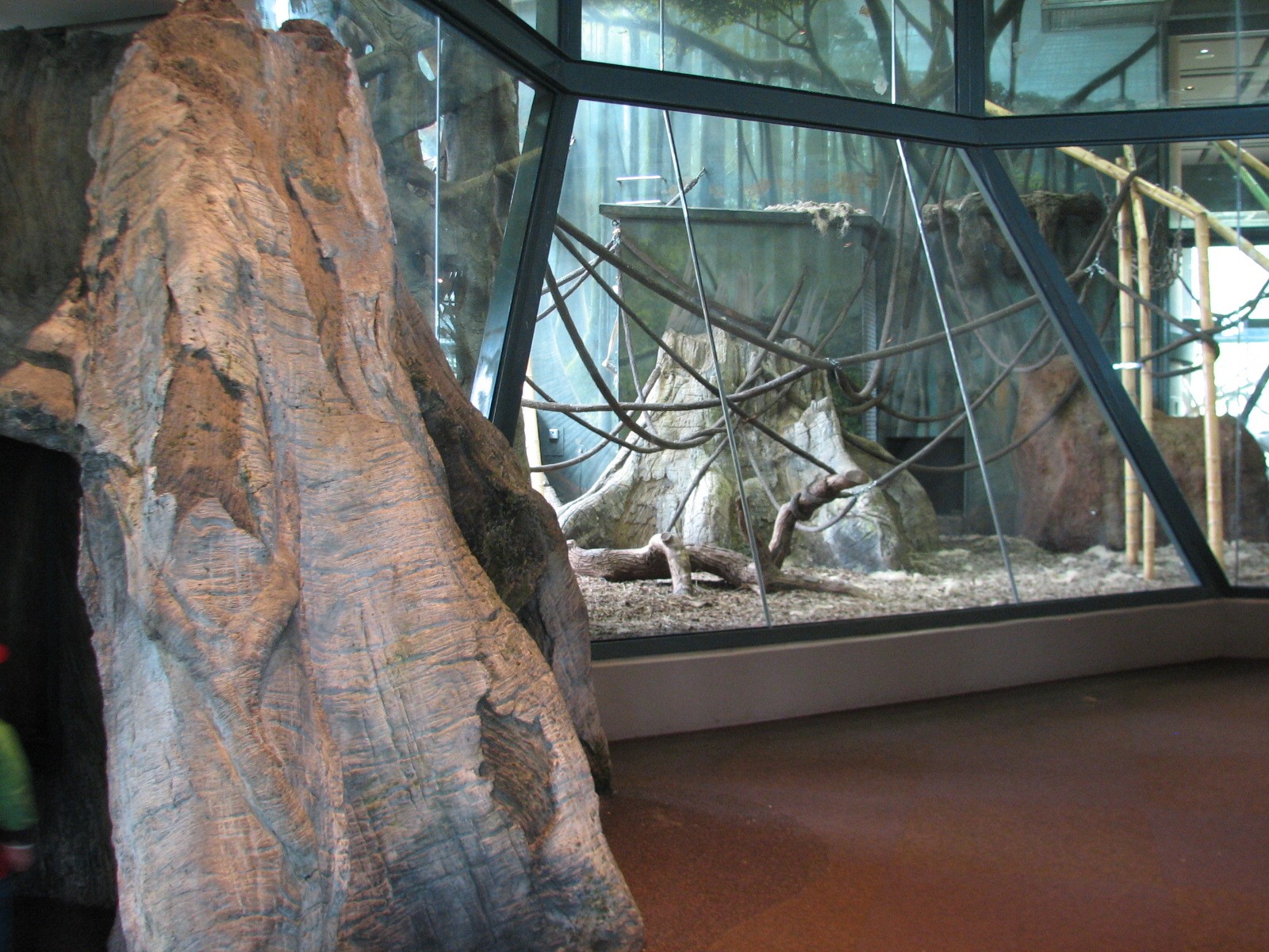 Center for African Apes - Chimpanzee Exhibit Bedroom