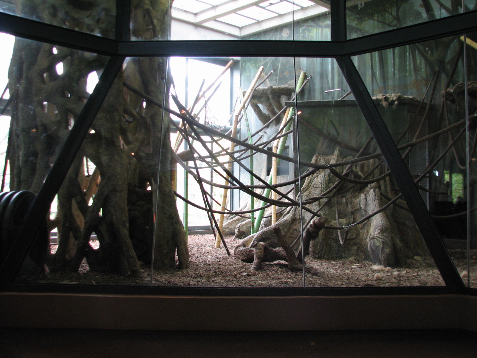 Center for African Apes - Chimpanzee Exhibit Bedroom