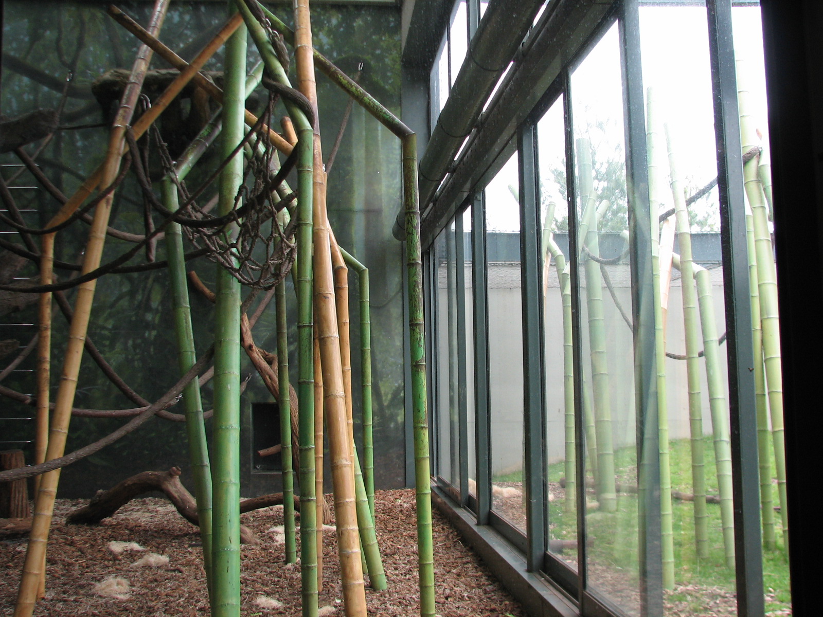 Center for African Apes - Gorilla Exhibit 2 Bedroom