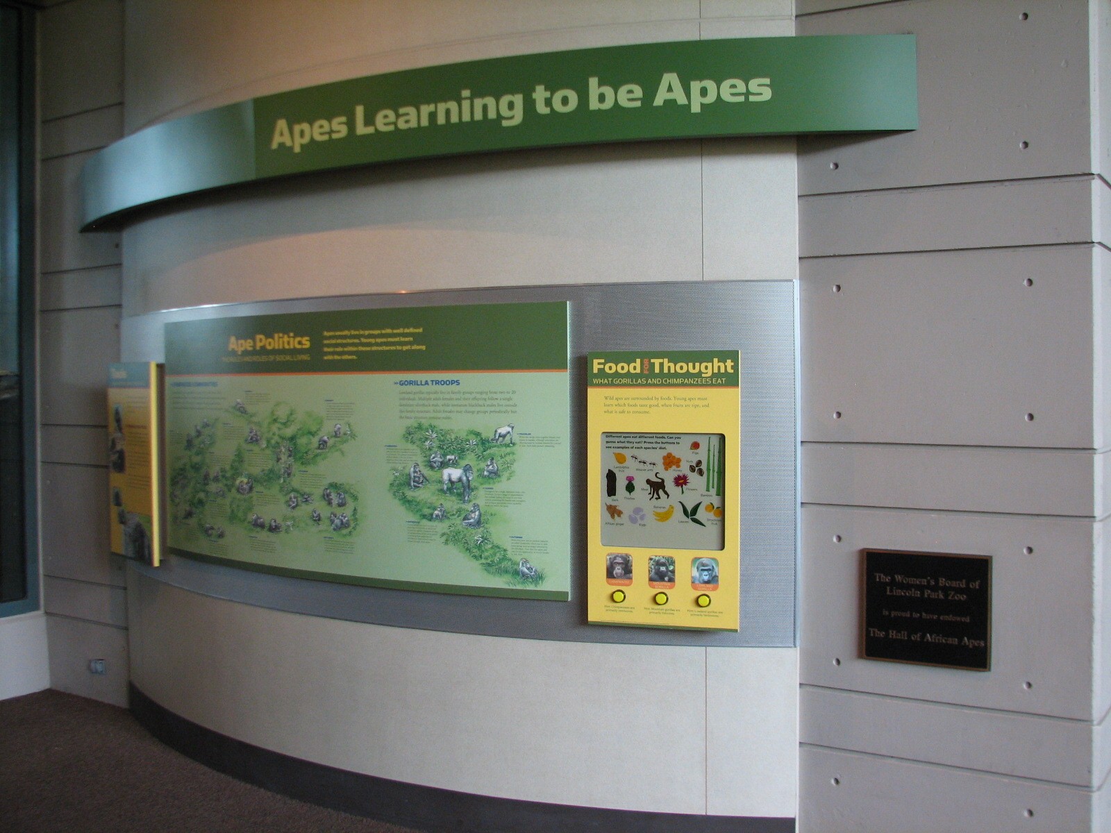 Center for African Apes - Graphics