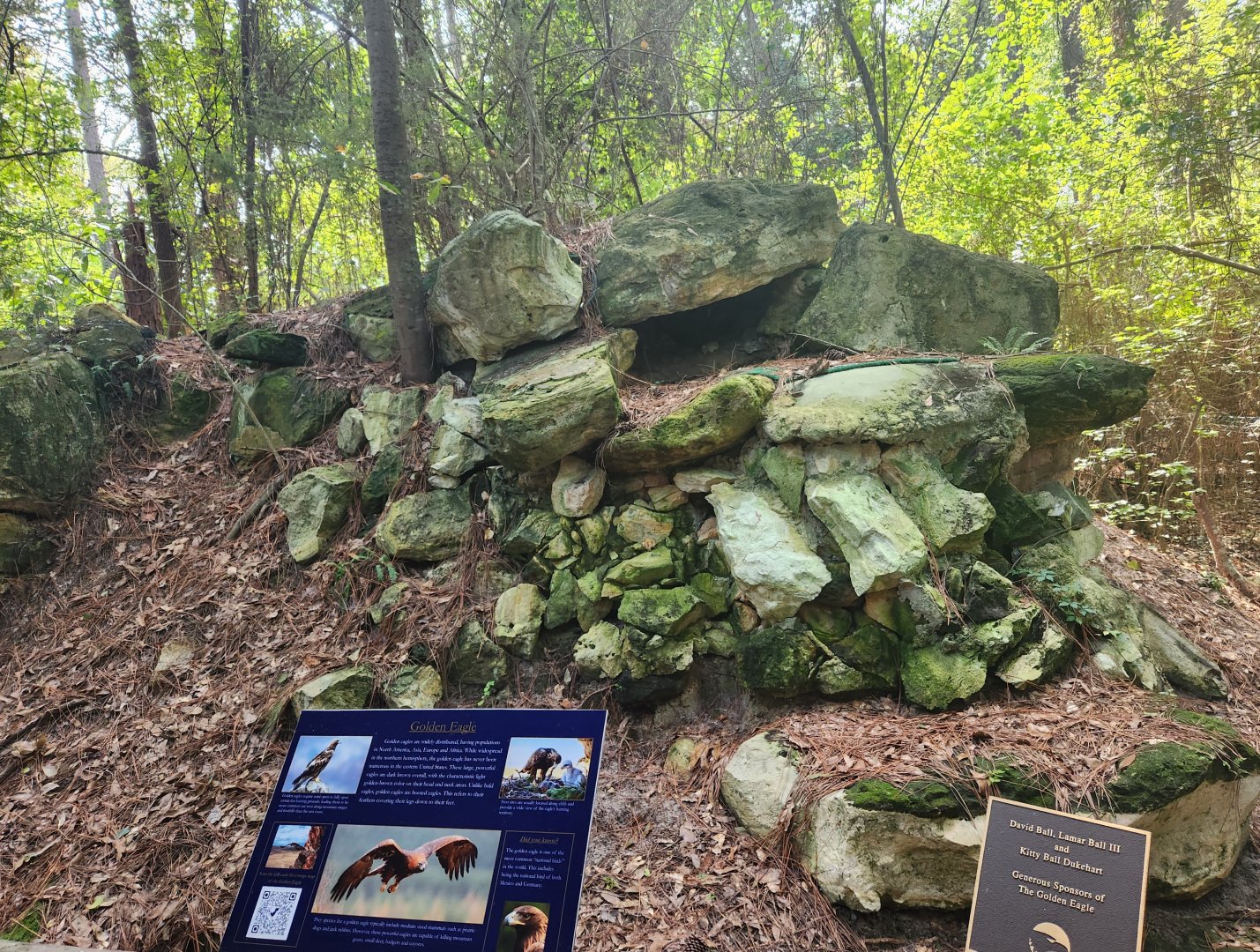 Center For Wildlife Education (GA) - Golden Eagle exhibit