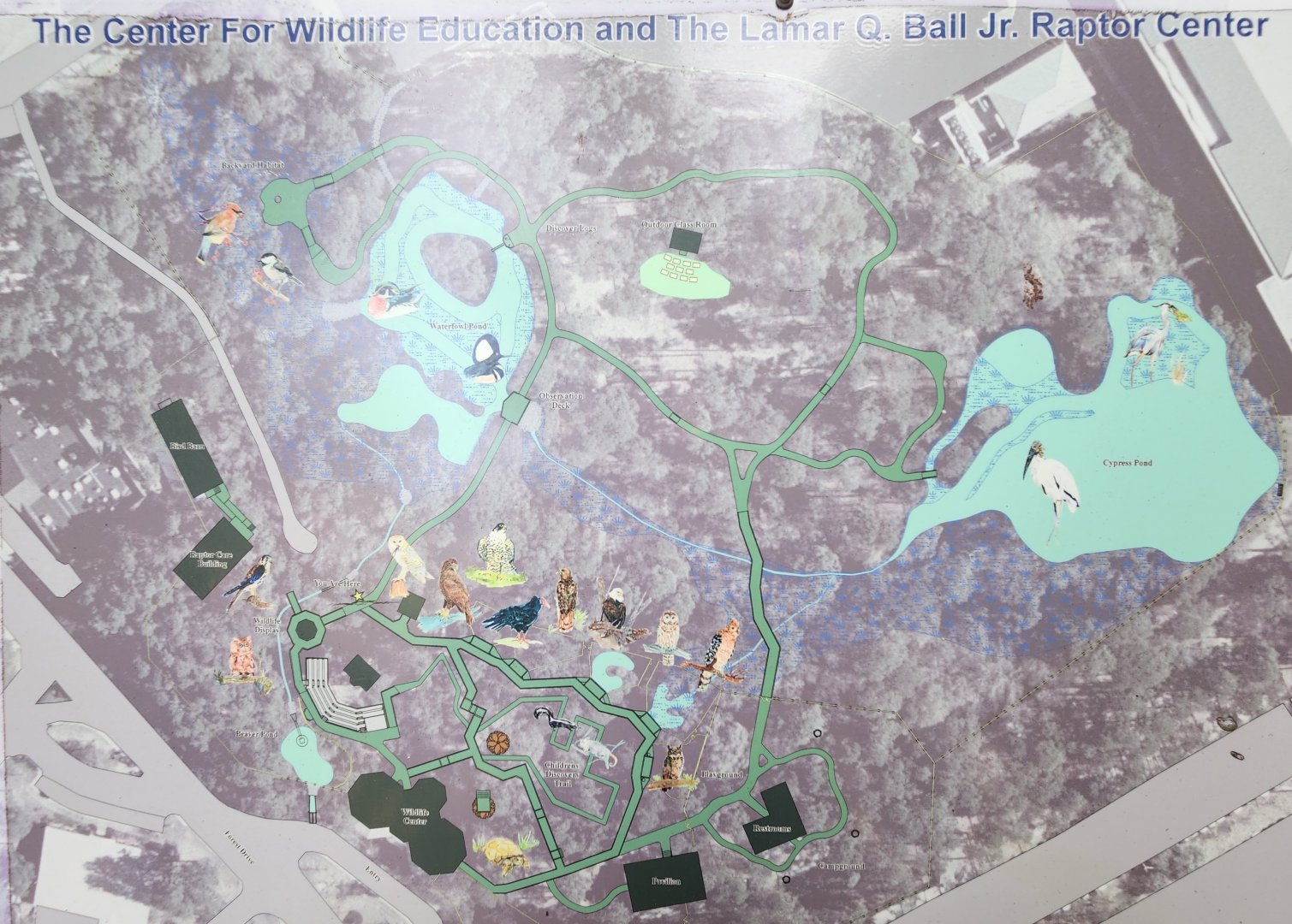 Center For Wildlife Education (GA) - Map