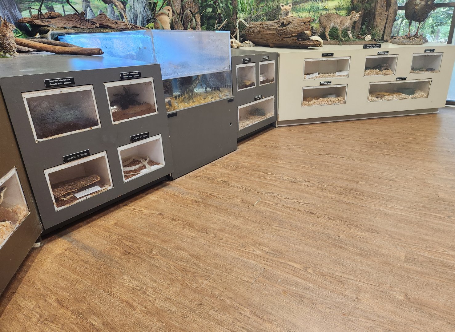 Center For Wildlife Education (GA) - Native reptile exhibits