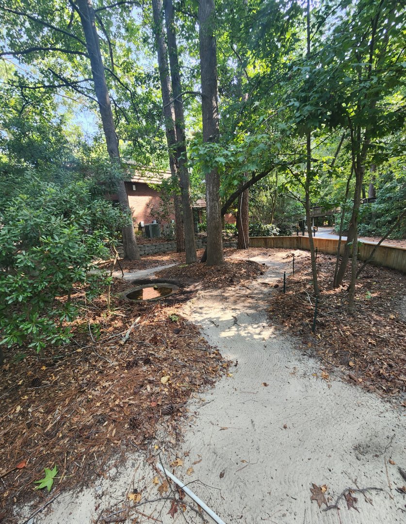 Center For Wildlife Education (GA) - Turtle walkthrough exhibit