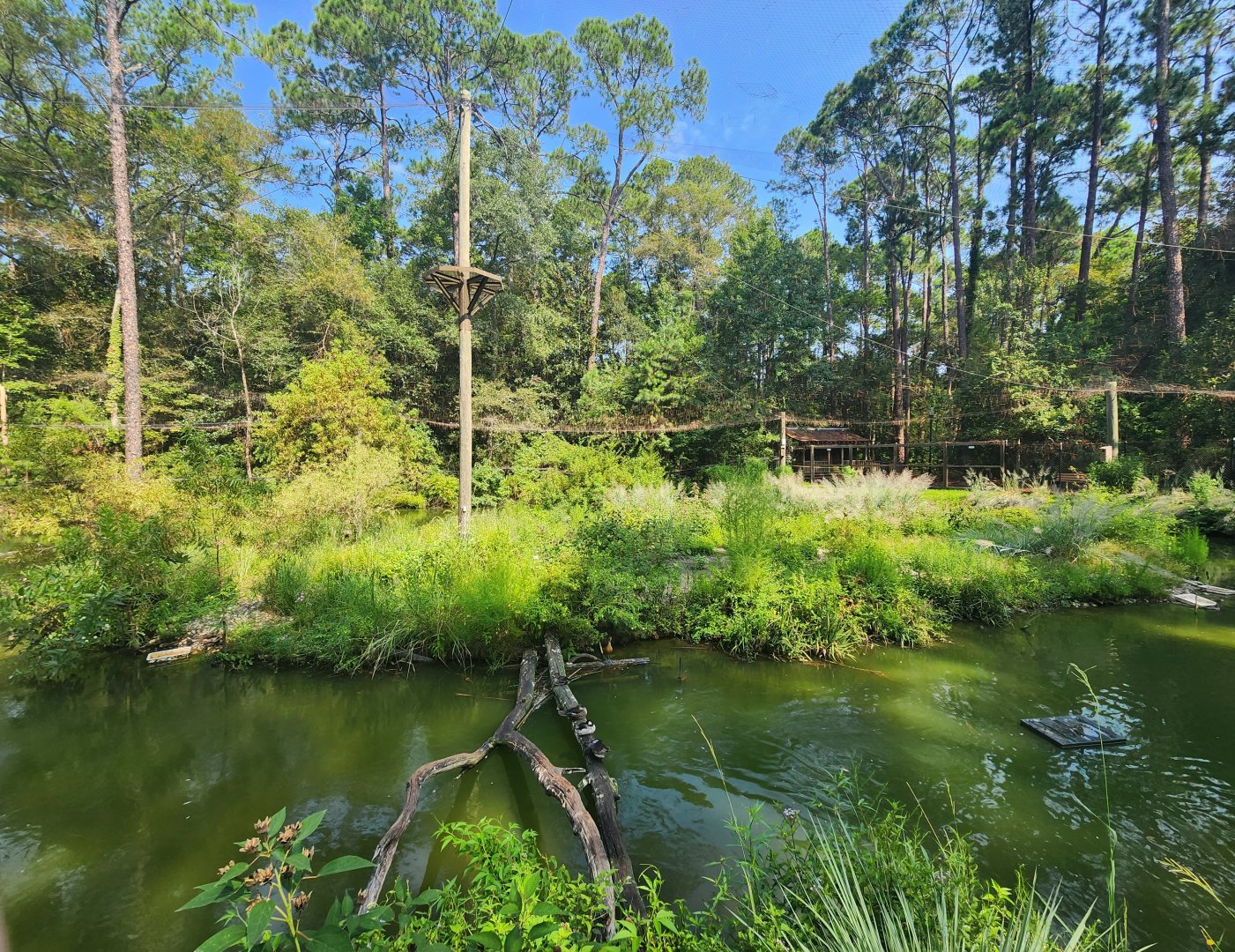 Center For Wildlife Education (GA) - Waterfowl aviary
