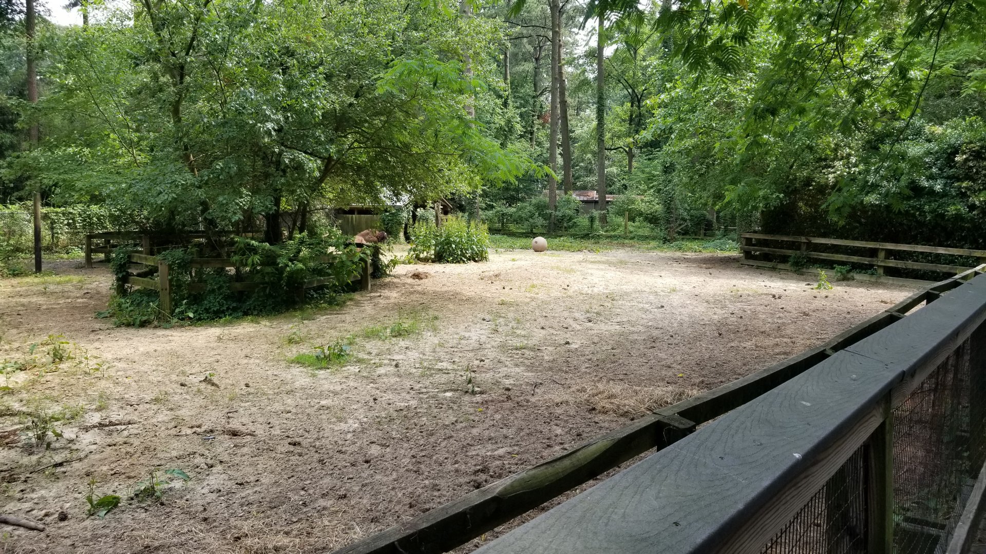 Center of bison yard