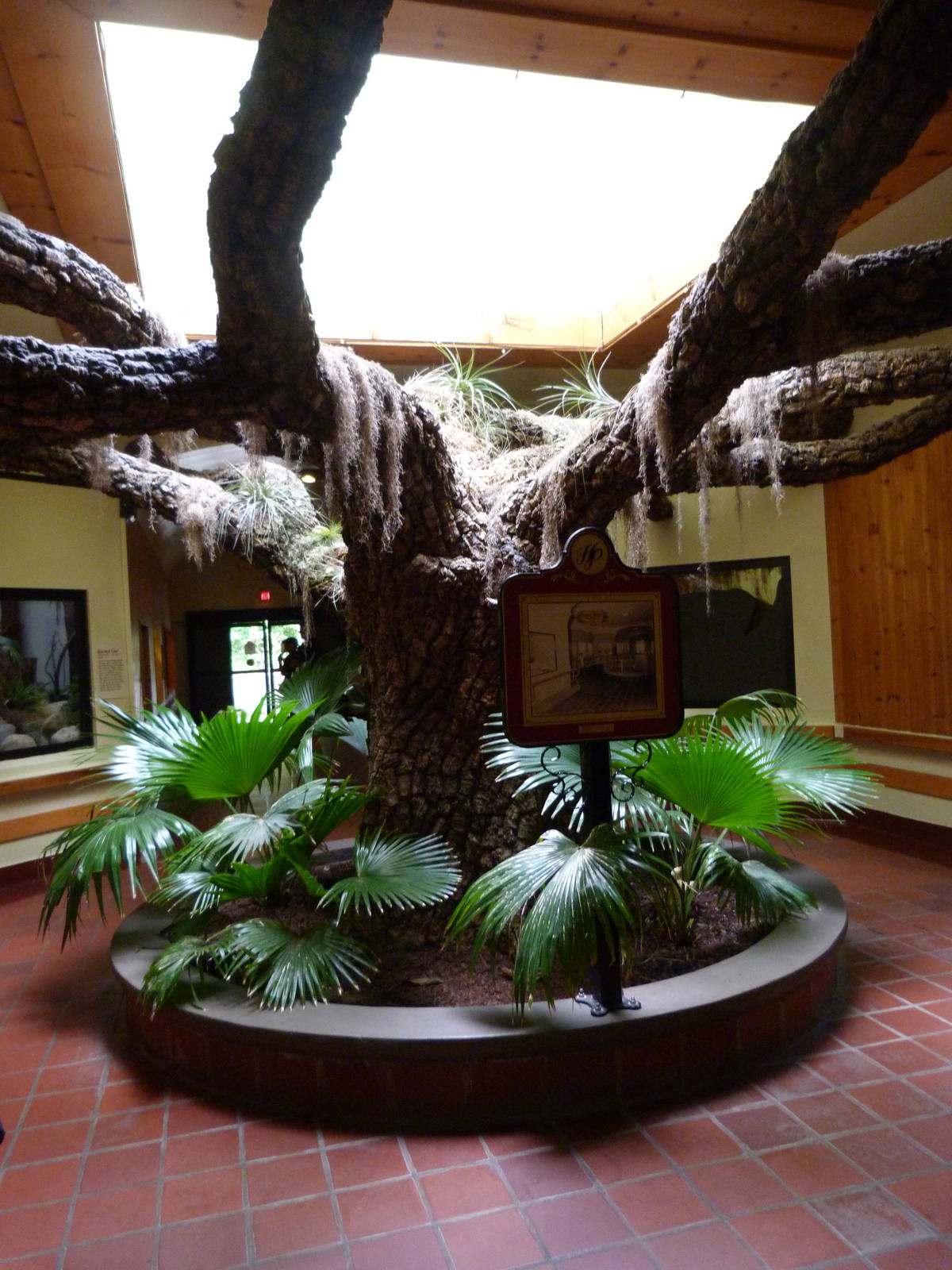 Center of Southern Swamps