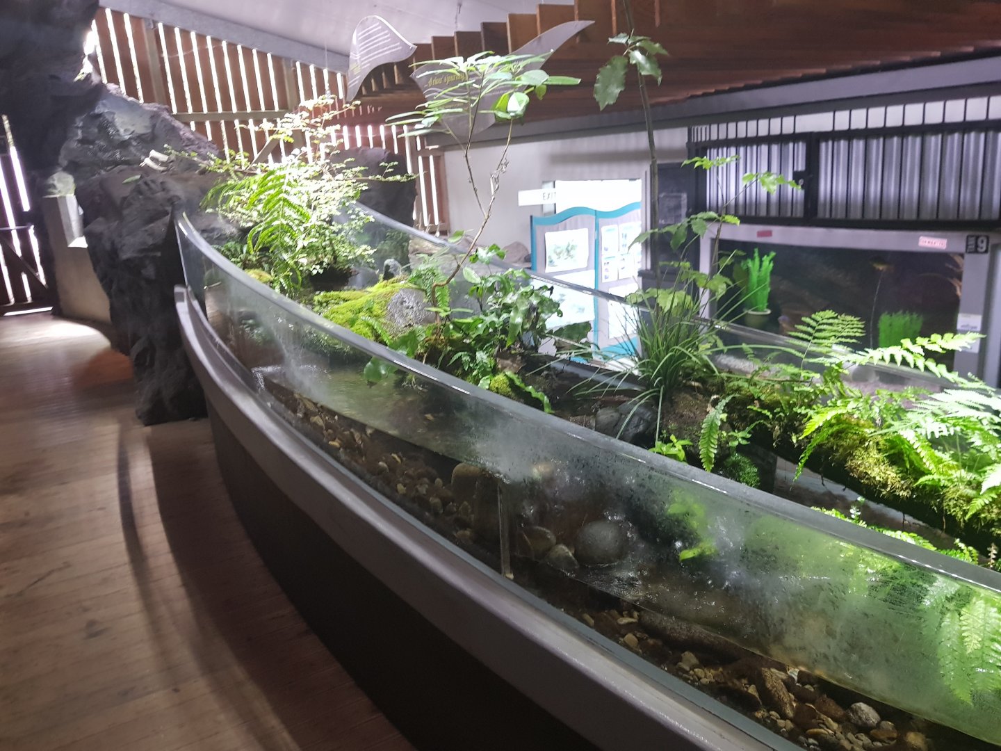 Center Tank- Tongariro National Trout Centre