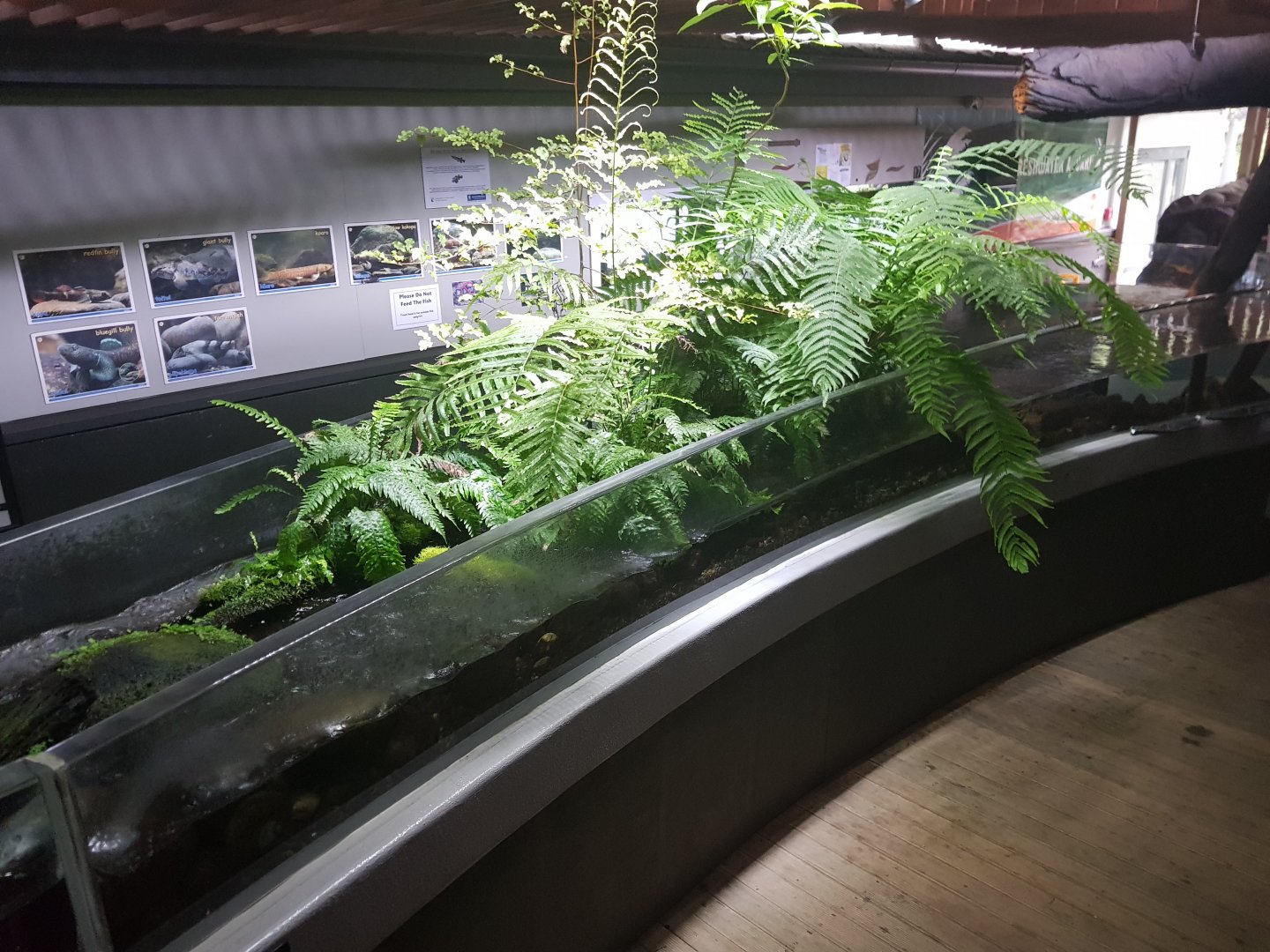 Center Tank- Tongariro National Trout Centre