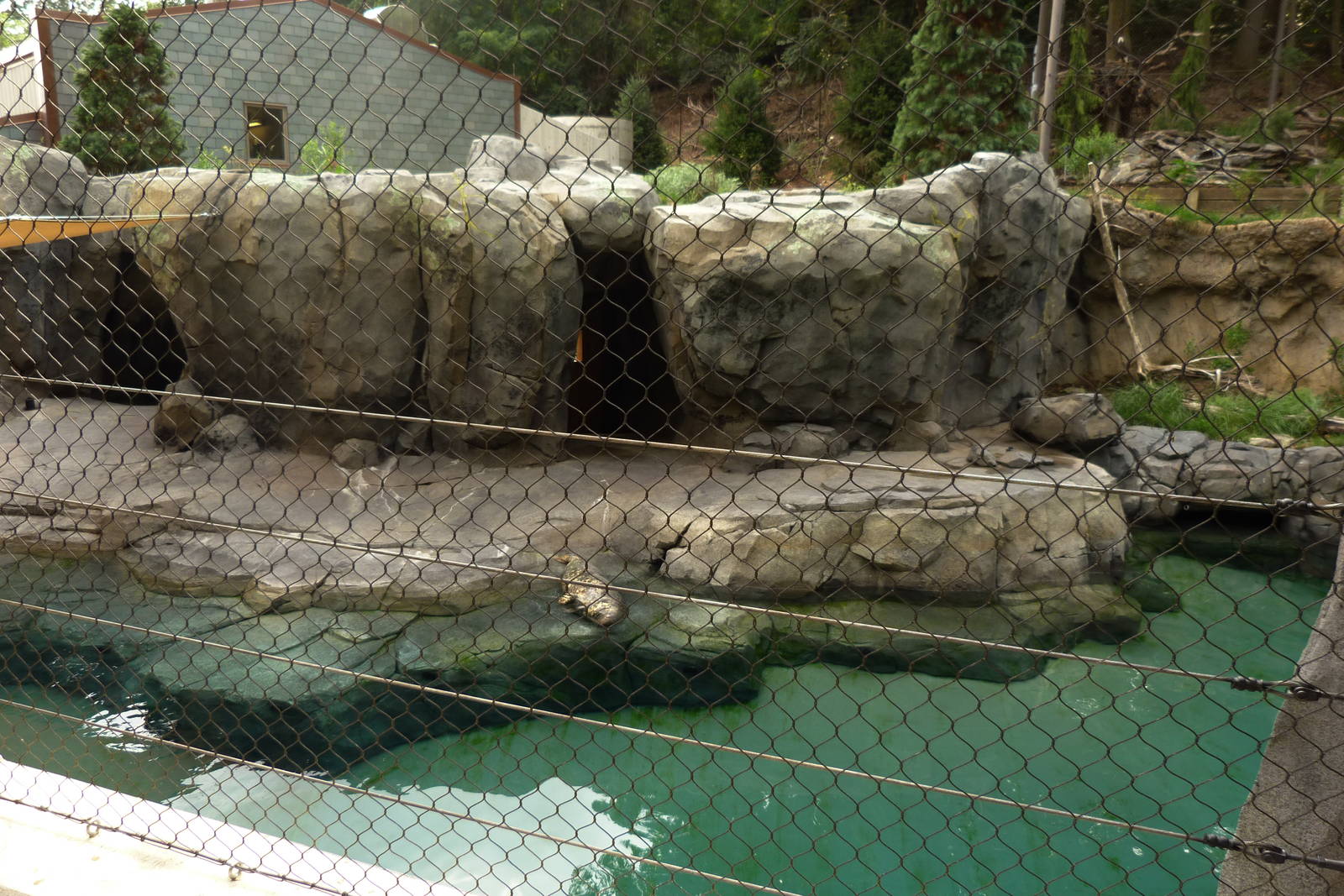 Center View of Seal Exhibit (American Trails)