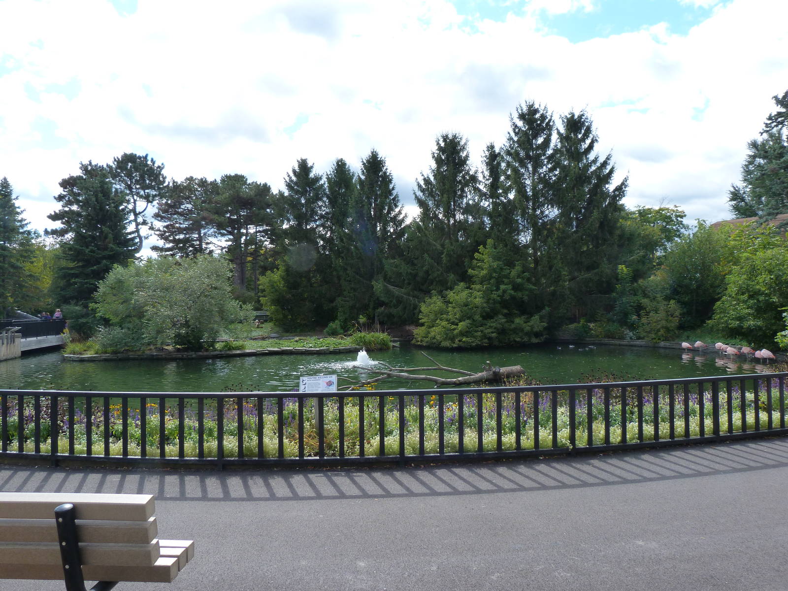 Center Waterfowl Pond