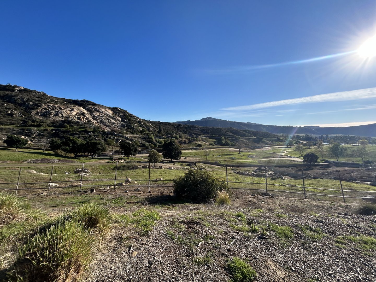 Central Africa Field Exhibit