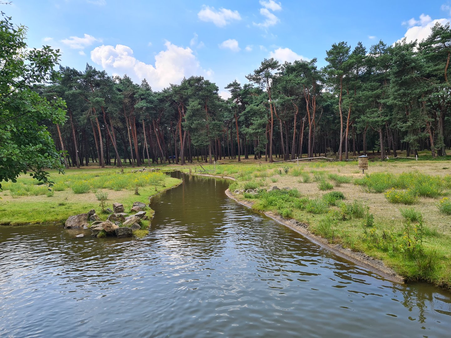 Central Africa Savannah