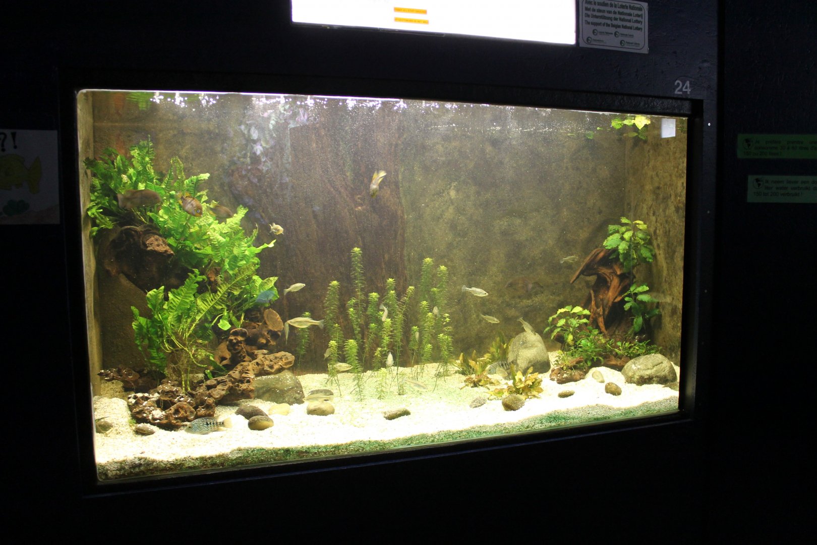 Central America Aquarium