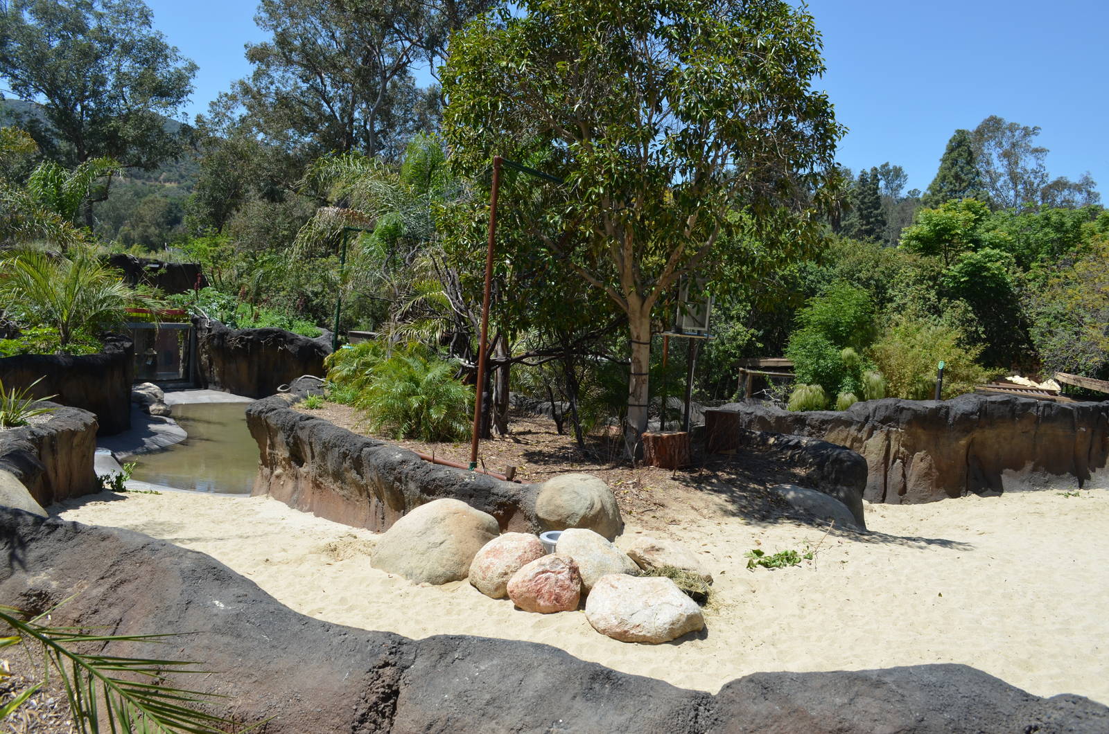 Central American Tapir Habitat