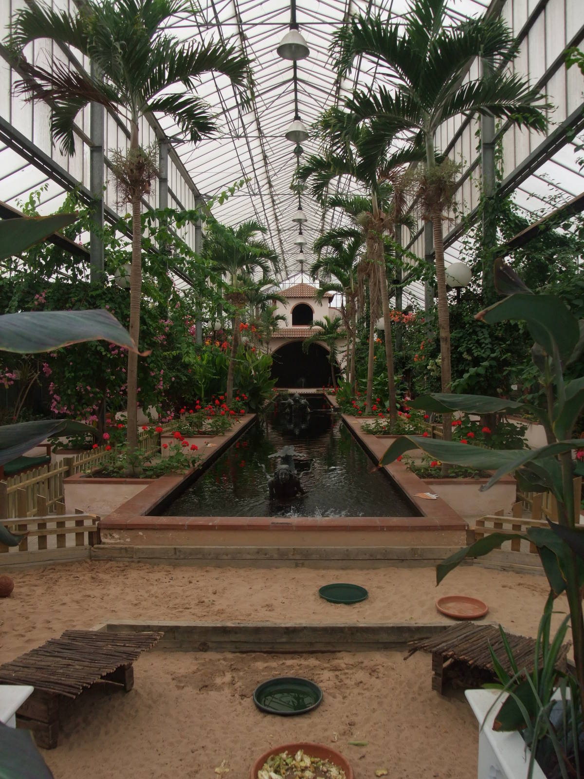 Central Area at the Palms: Final Visit, 08/08/10