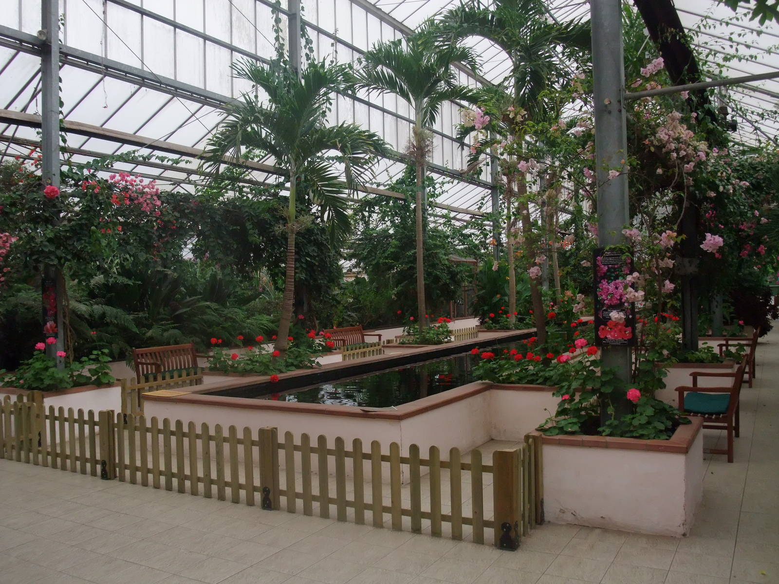 Central Area at the Palms: Final Visit, 08/08/10