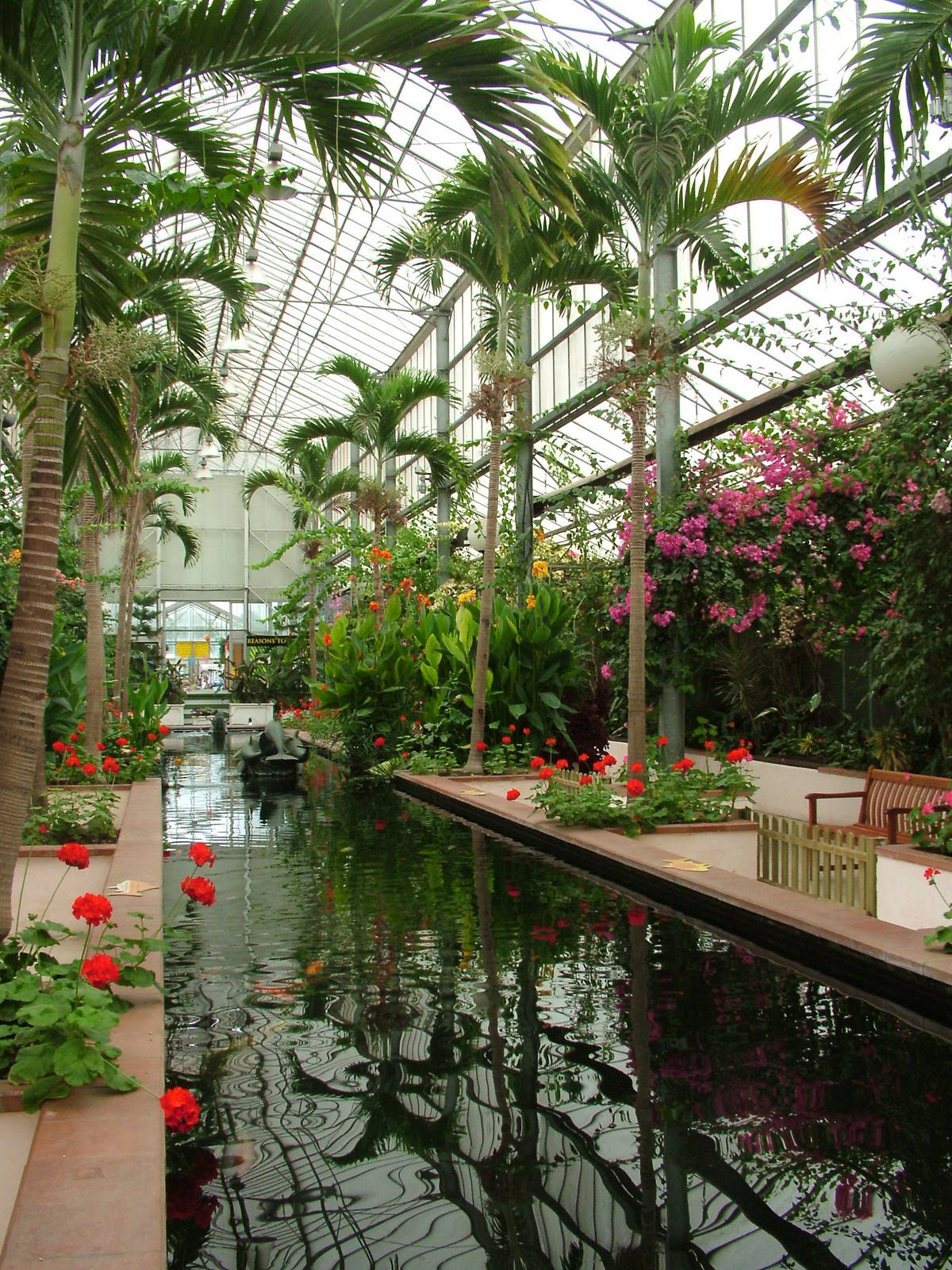 Central Area at the Palms: Final Visit, 08/08/10