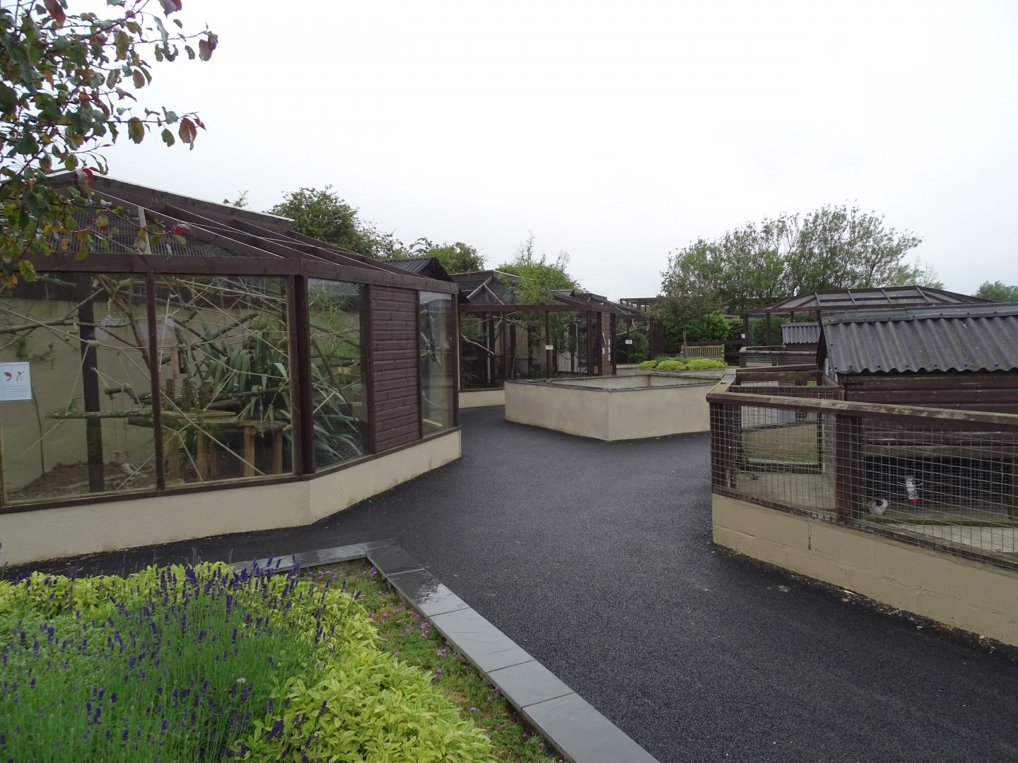 Central area of park looking northwards, 1st July 2024