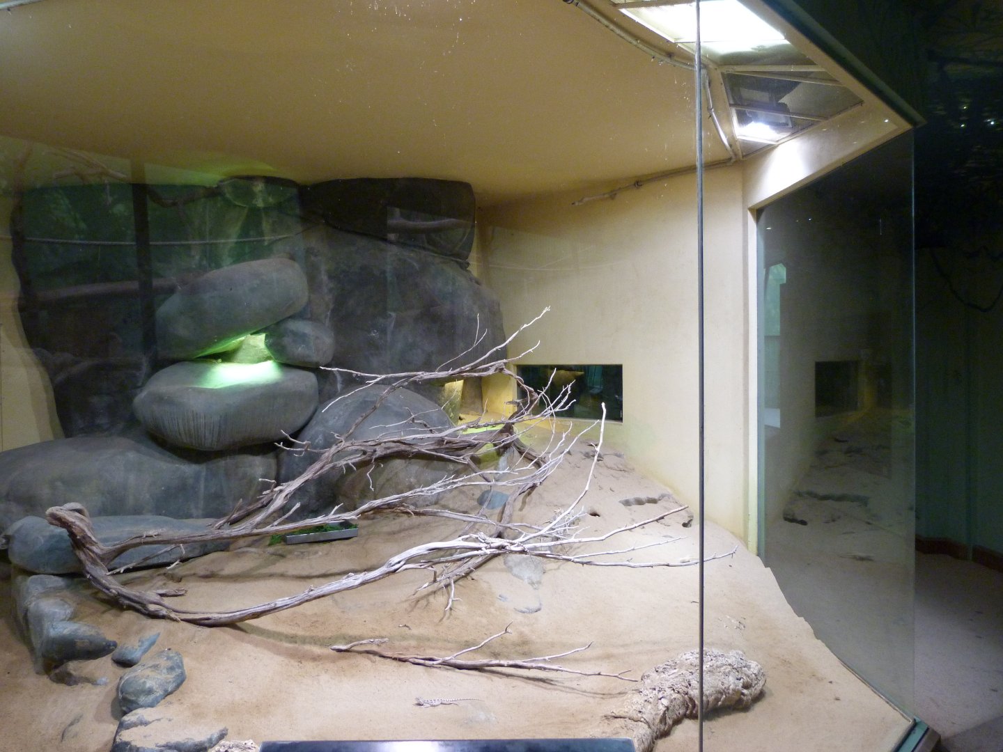 Central Asian desert exhibit -Zoo Praha (2025)